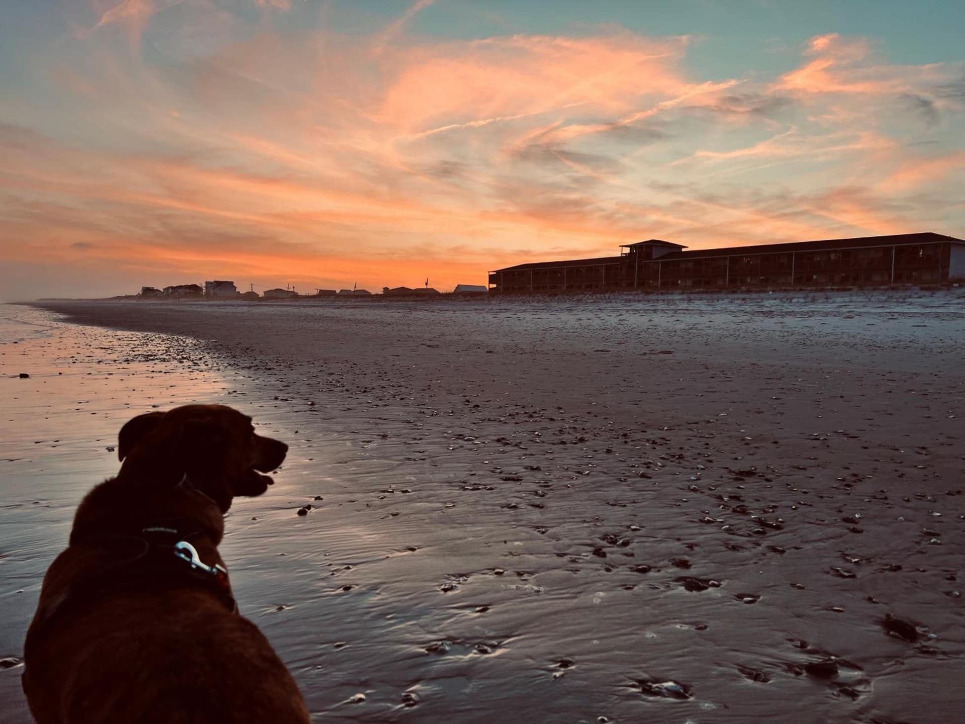 Sea Vista Motel gallery photo in Topsail Beach, NC — image 10
