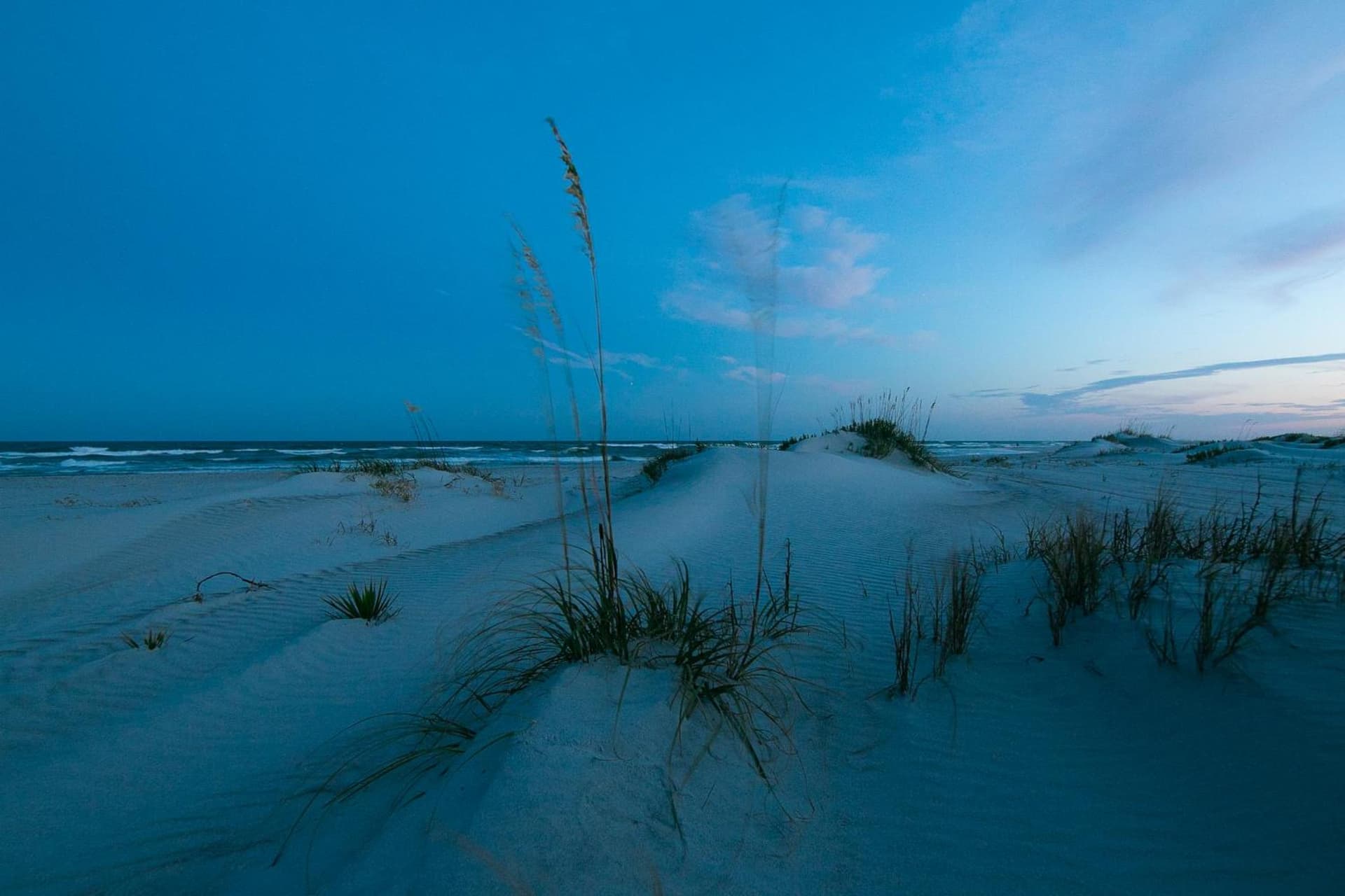 Sea Vista Motel gallery photo in Topsail Beach, NC — image 146
