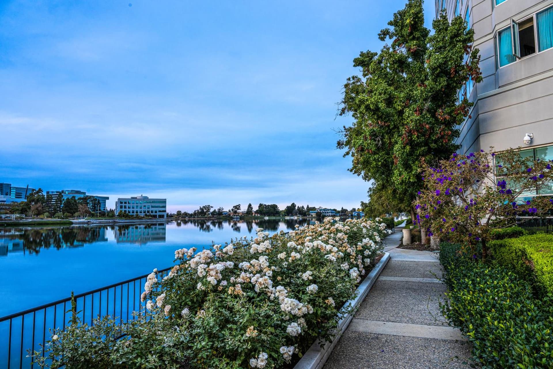 Grand Bay Hotel San Francisco gallery photo in Redwood City, CA — image 105
