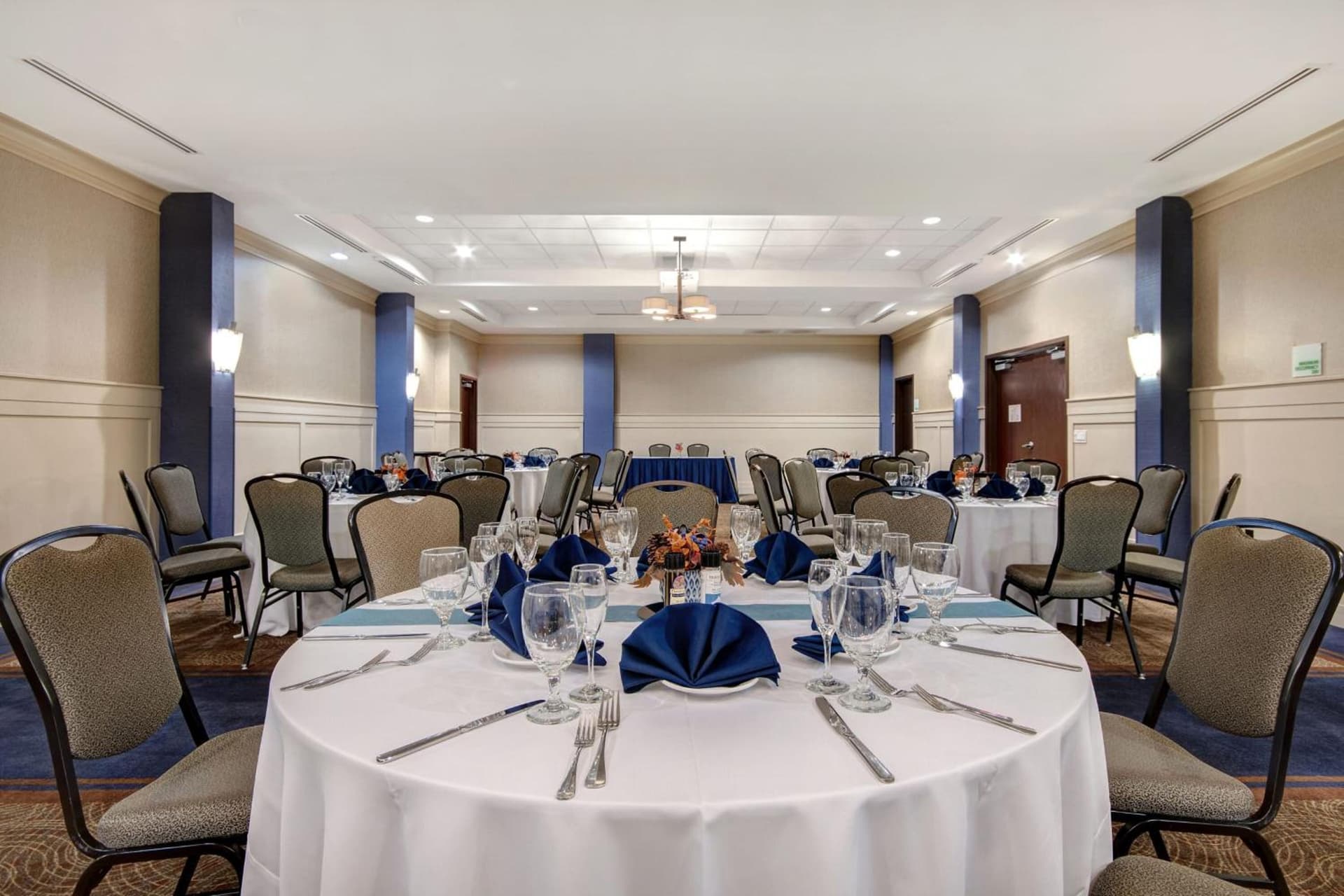 Holiday Inn Detroit Metro Airport by IHG gallery photo in Romulus, MI — image 45