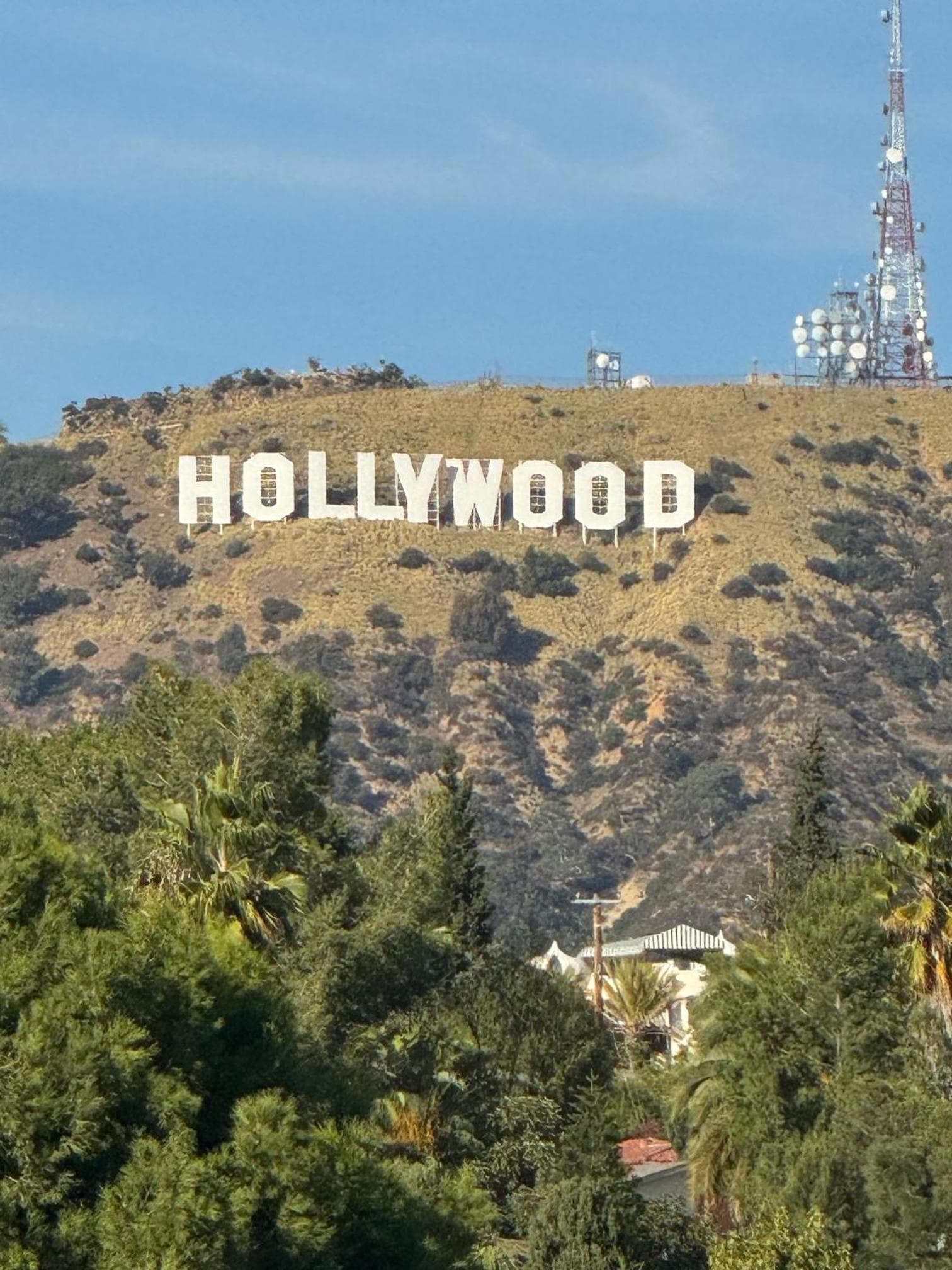 The Hollywood Franklin Hotel near Universal Studios gallery photo in Los Angeles, CA — image 26
