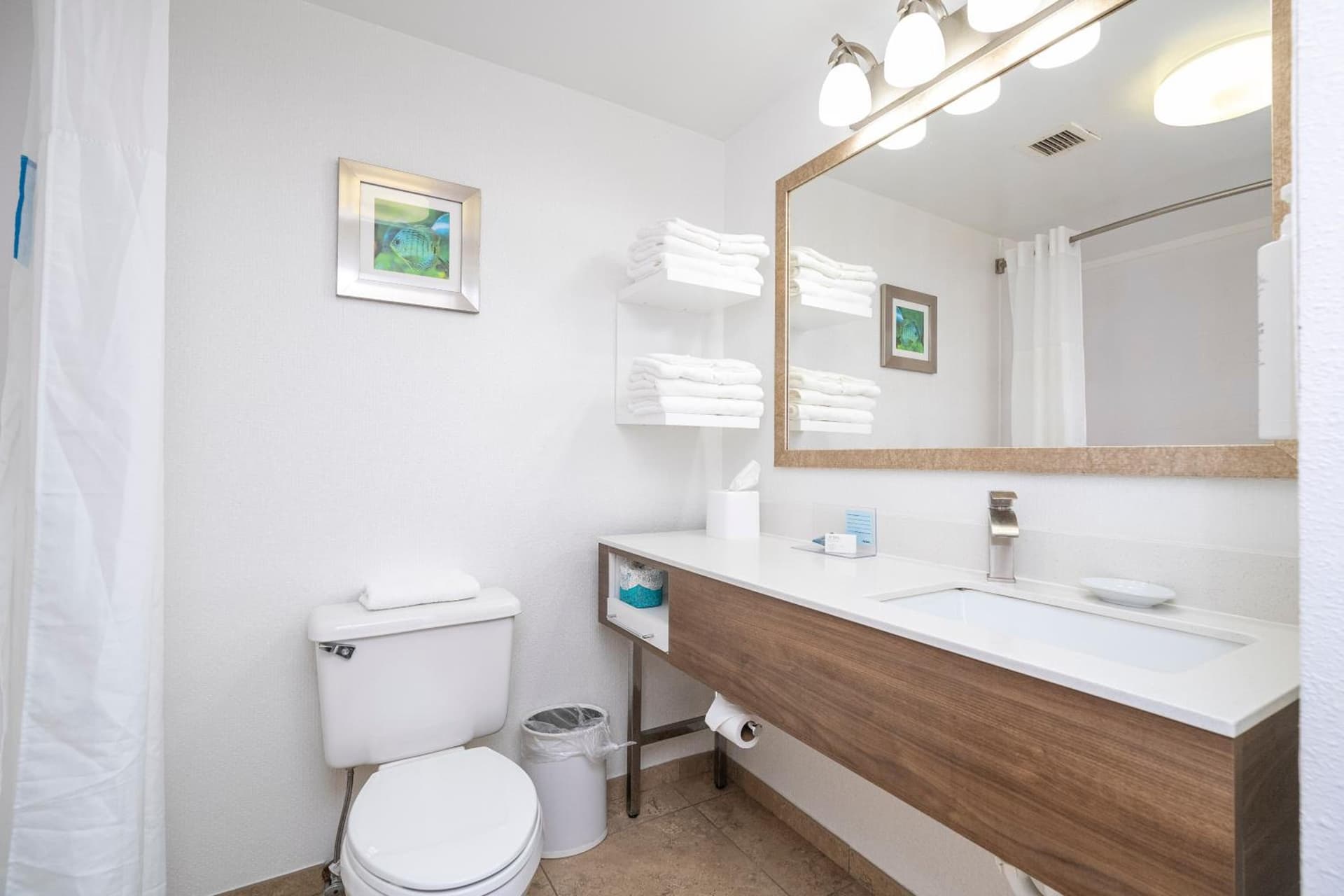 Hampton Inn by Hilton Spring Hill gallery photo in Timber Pines, FL — image 14