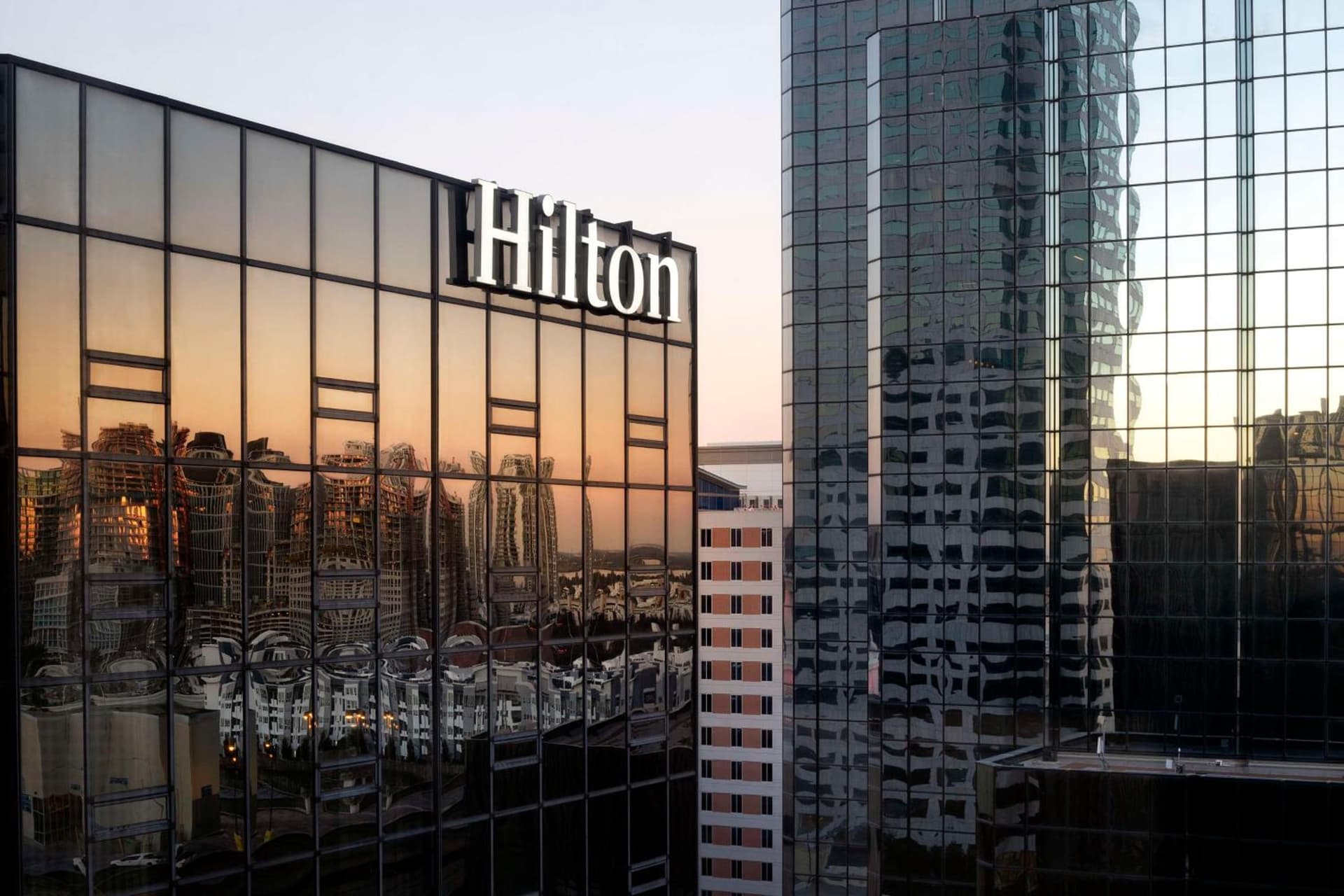 Hilton Tampa Downtown interior in Tampa, FL — gallery photo 2