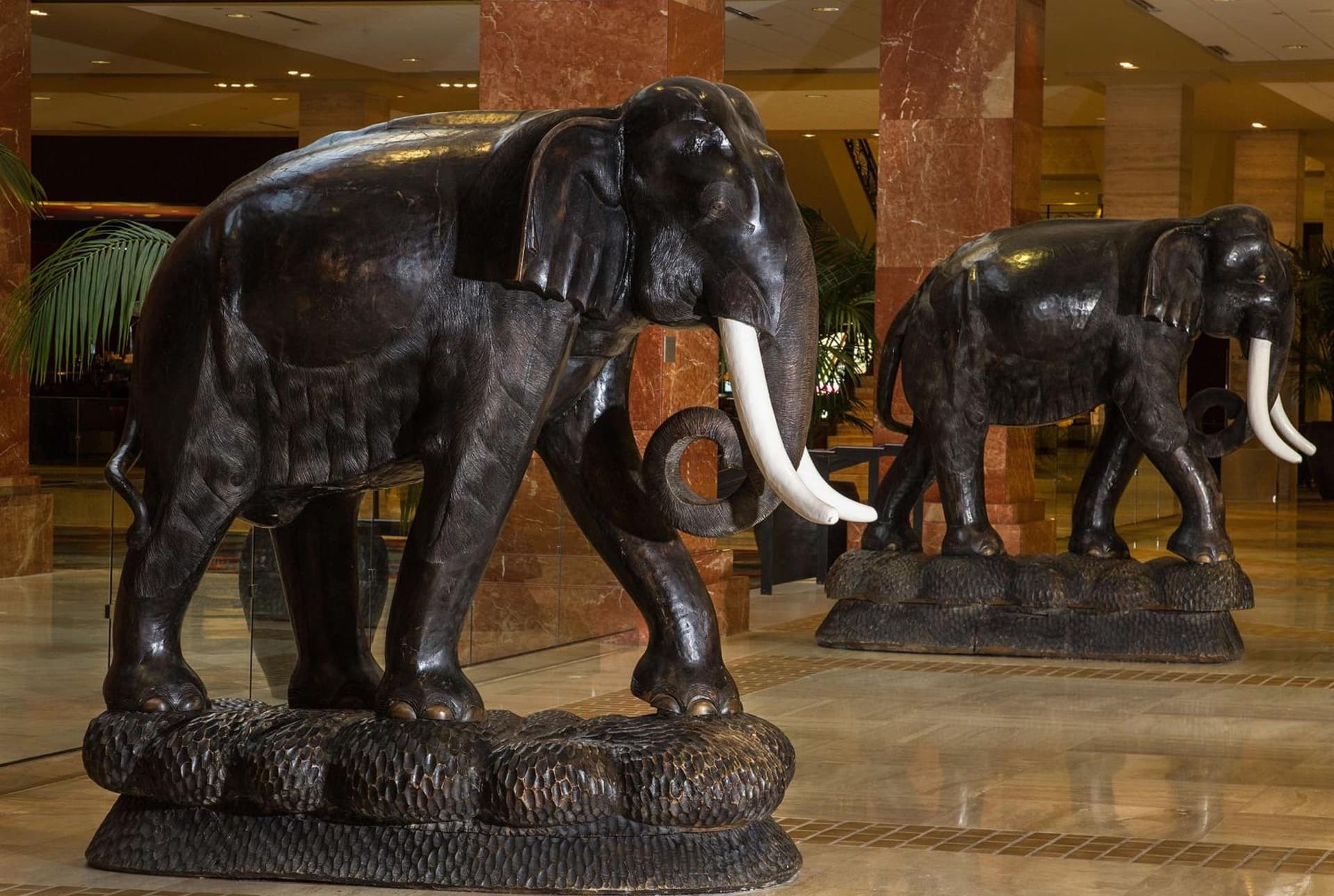 Hilton Anatole gallery photo in Dallas, TX — image 147