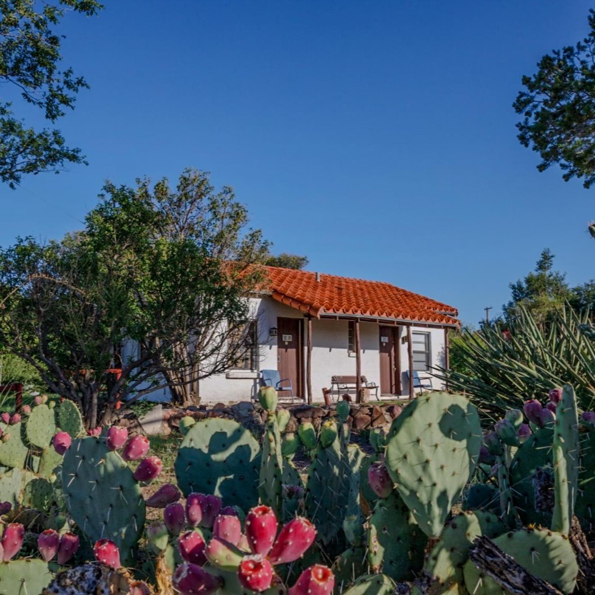 Antelope Lodge property views in Alpine, TX — gallery photo 3