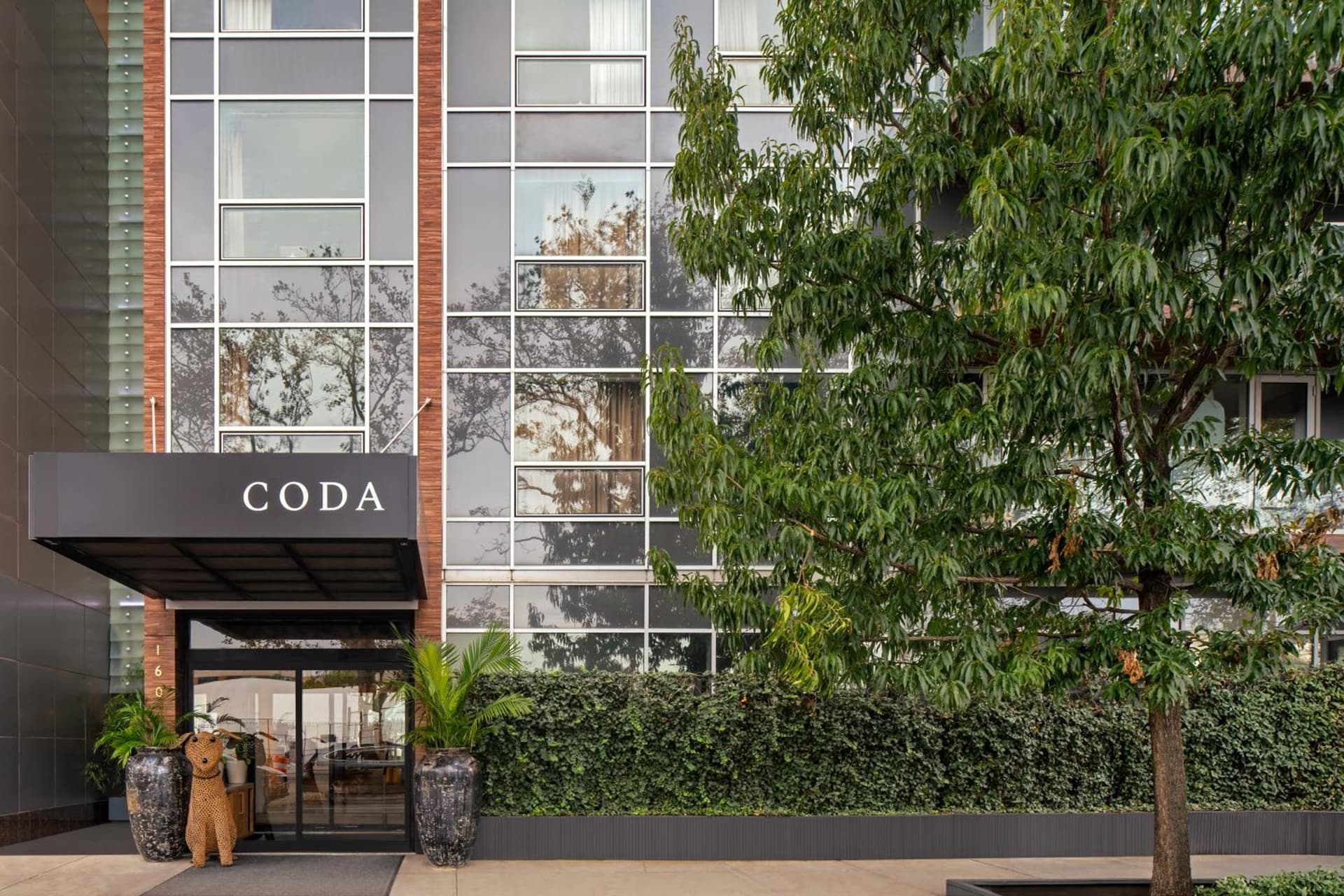 CODA Williamsburg gallery photo in Brooklyn, NY — image 48