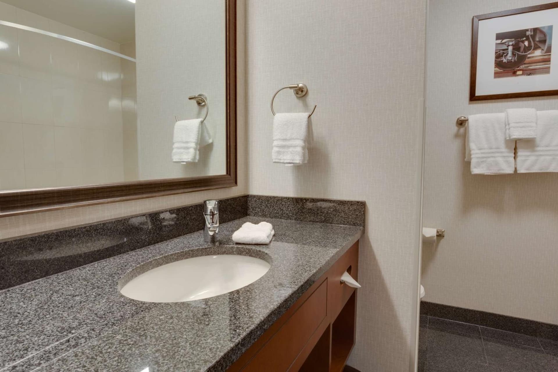 Drury Plaza Hotel St. Louis St. Charles gallery photo in St. Charles, MO — image 19