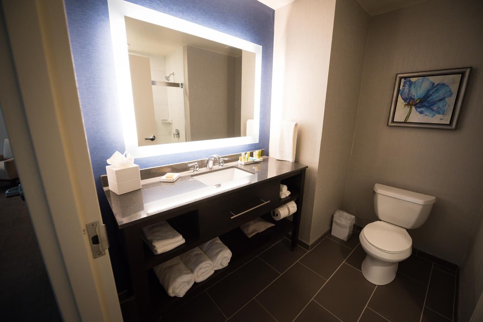 Hilton Scranton & Conference Center interior in Scranton, PA — gallery photo 2