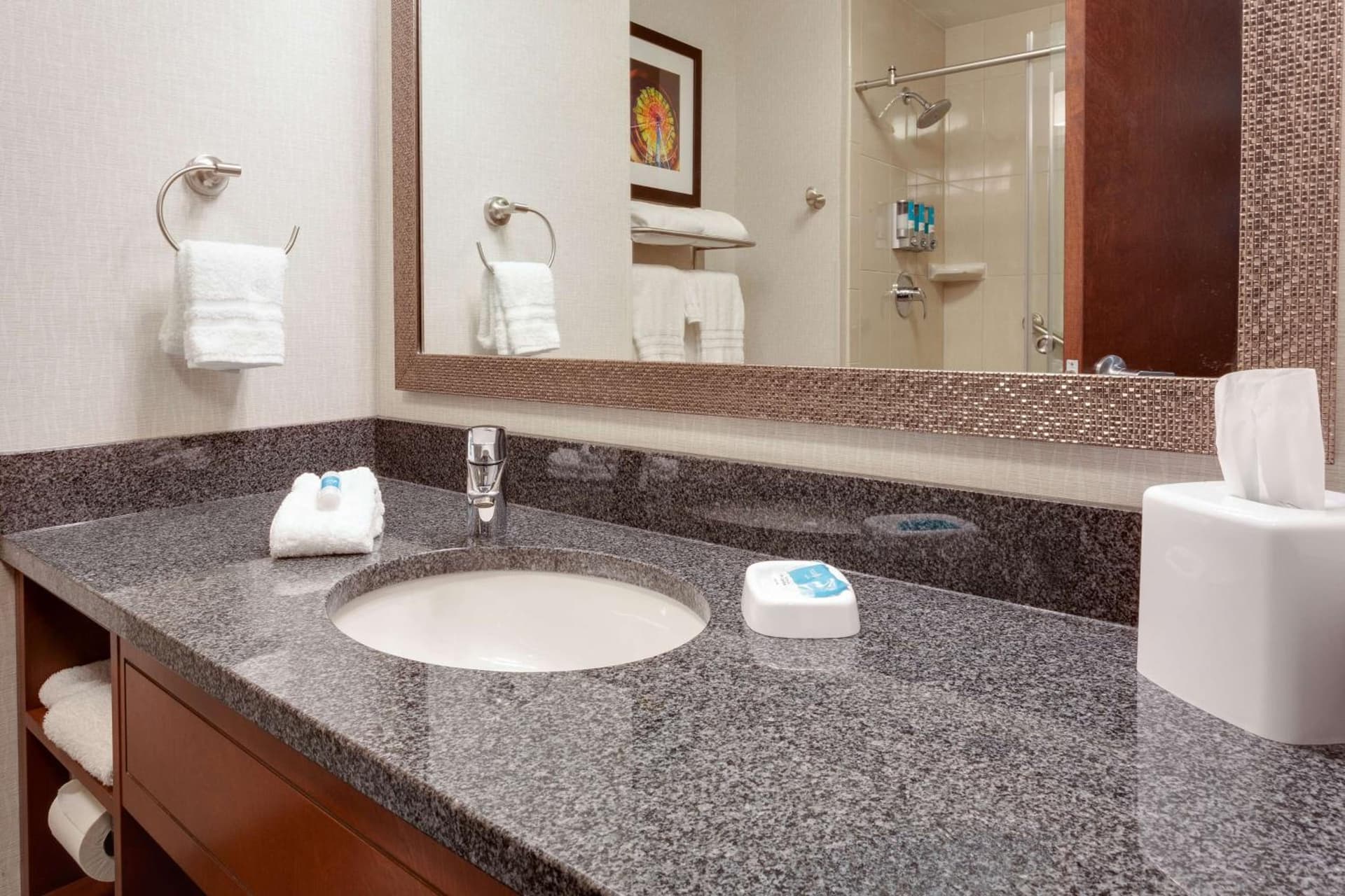 Drury Plaza Hotel Columbia East gallery photo in Columbia, MO — image 34