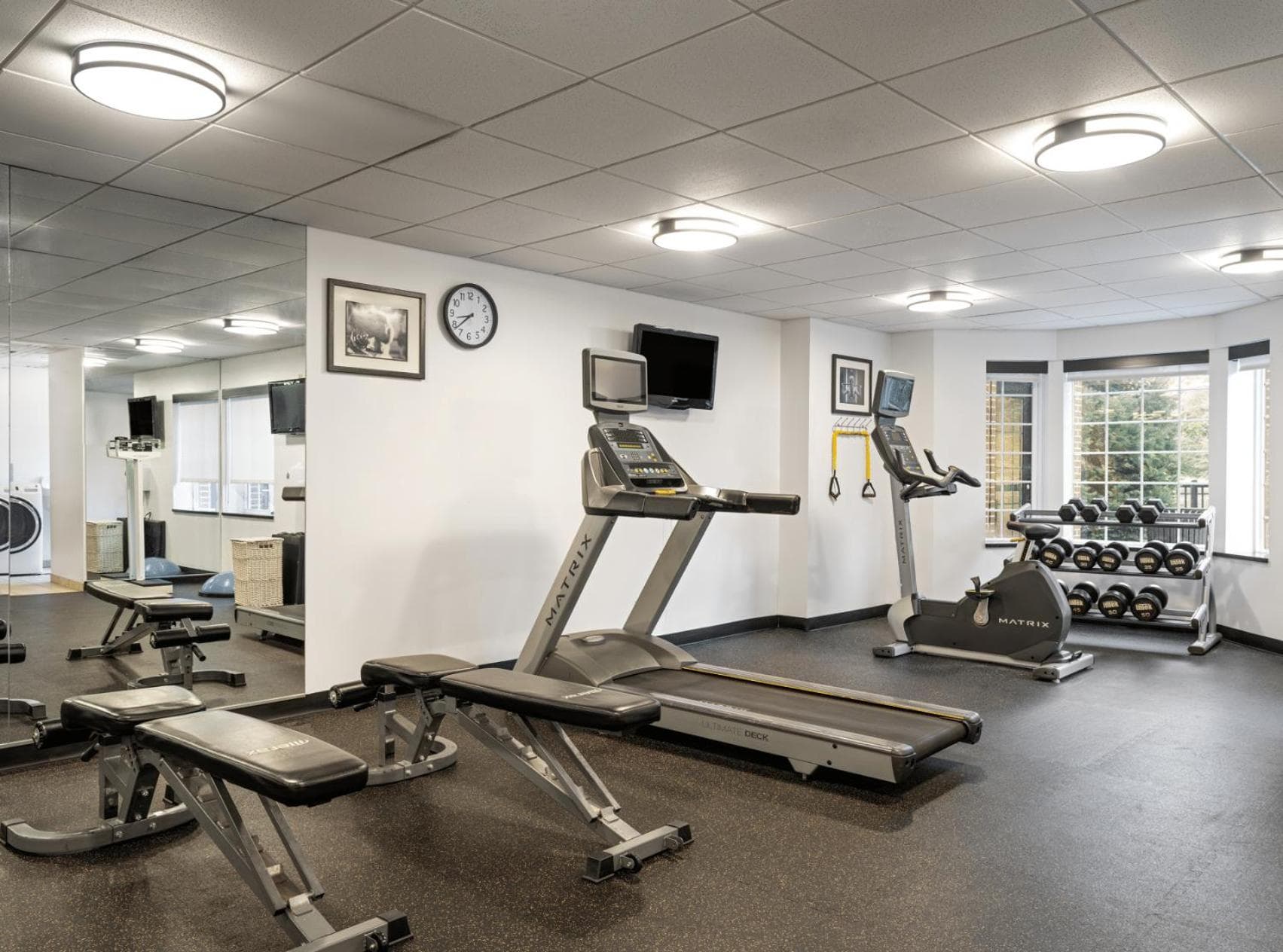 Staybridge Suites Rochester University by IHG gallery photo in Rochester, NY — image 15