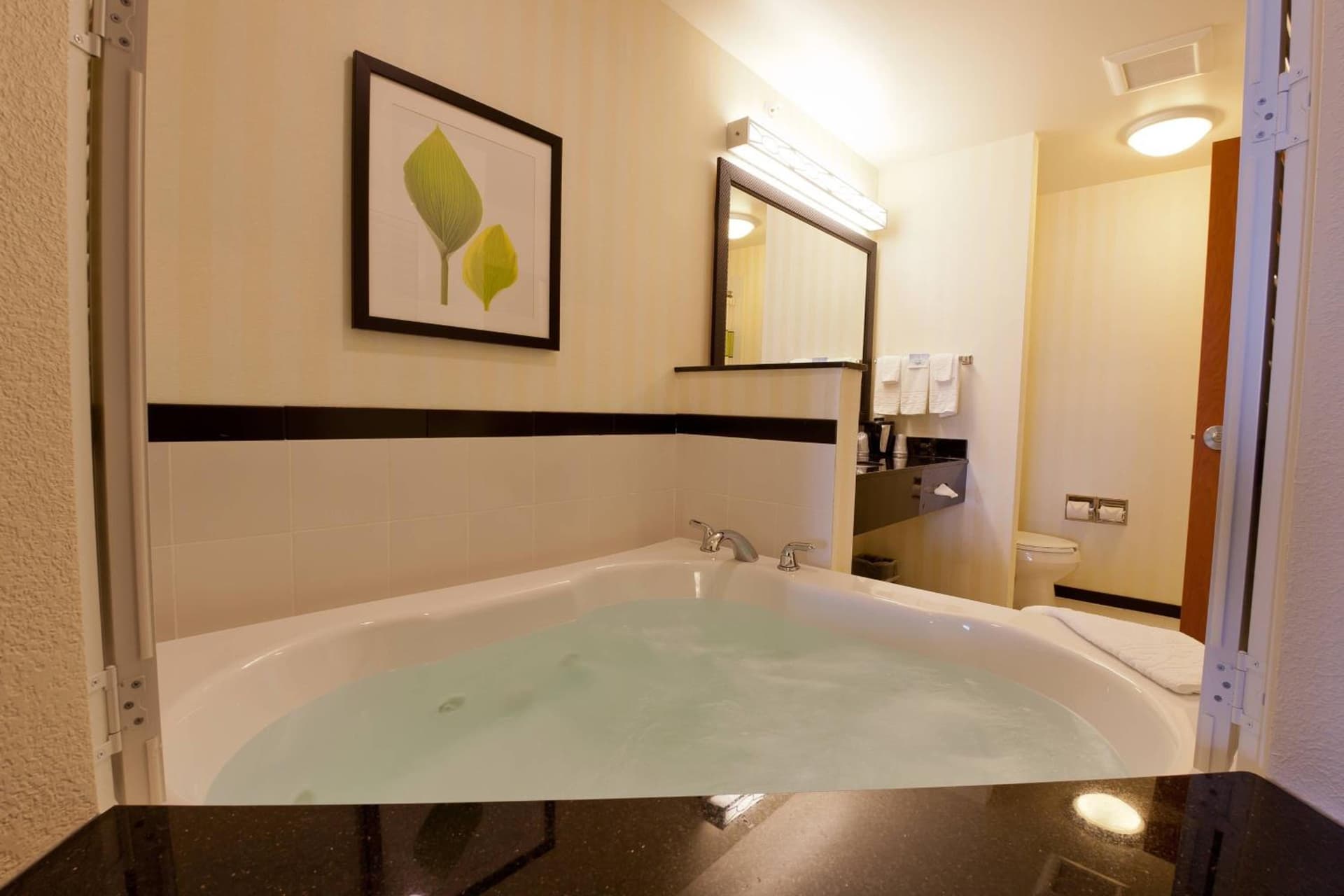 Fairfield Inn and Suites Flint Fenton gallery photo in Fenton, MI — image 10