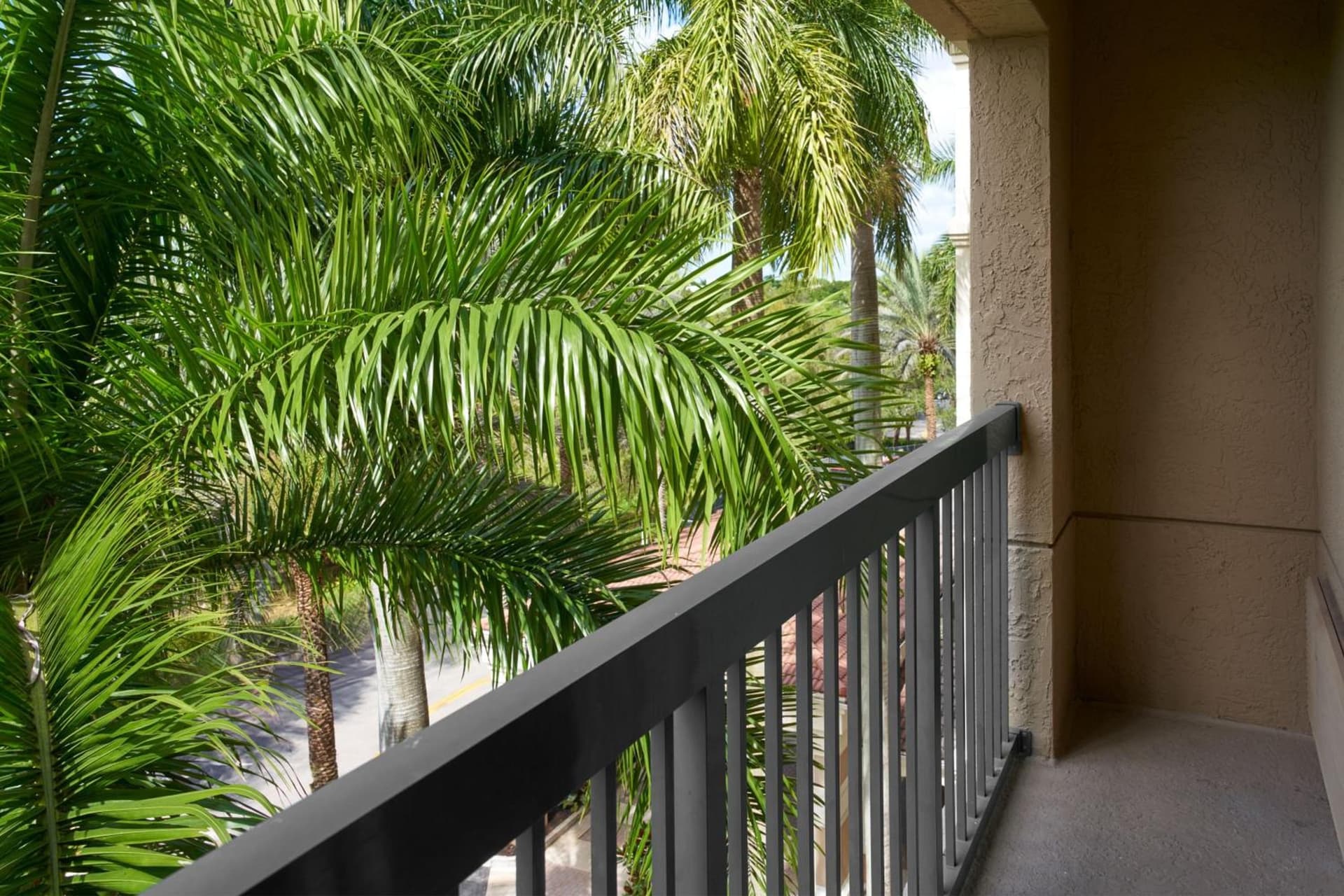 Courtyard by Marriott Fort Lauderdale Weston gallery photo in Weston, FL — image 24