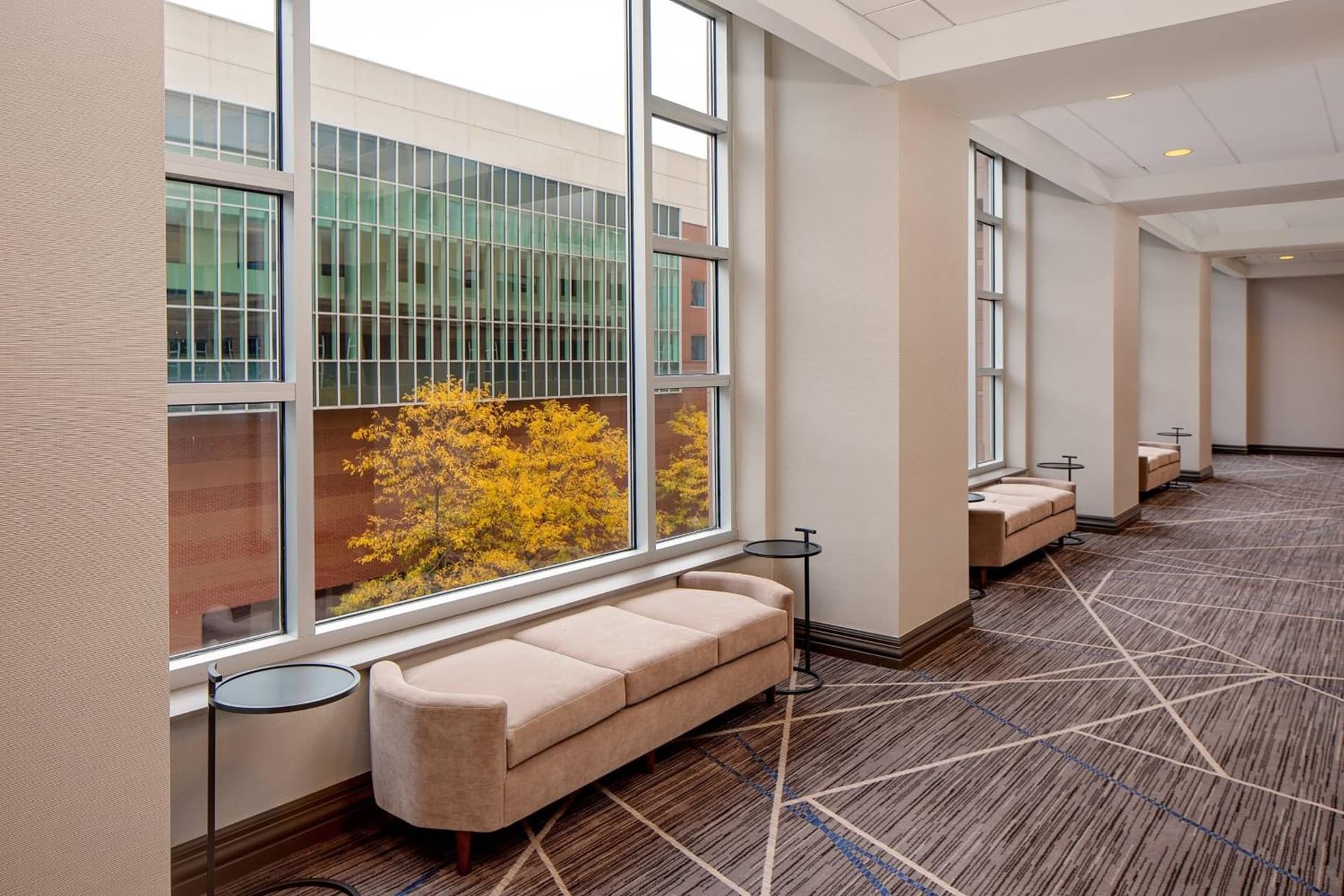 Cincinnati Marriott at RiverCenter gallery photo in Covington, KY — image 13