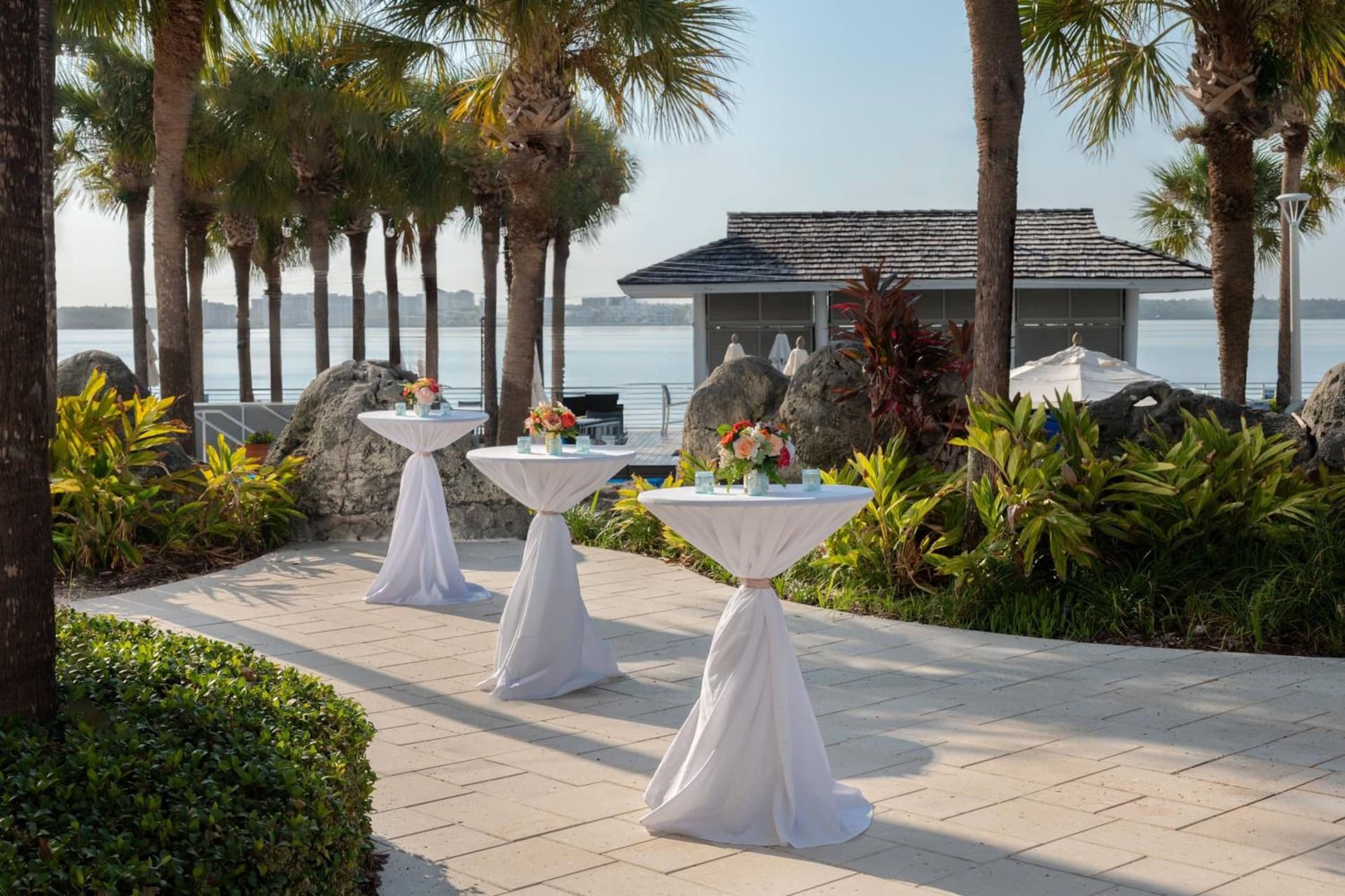Clearwater Beach Marriott Resort on Sand Key gallery photo in Clearwater Beach, FL — image 30