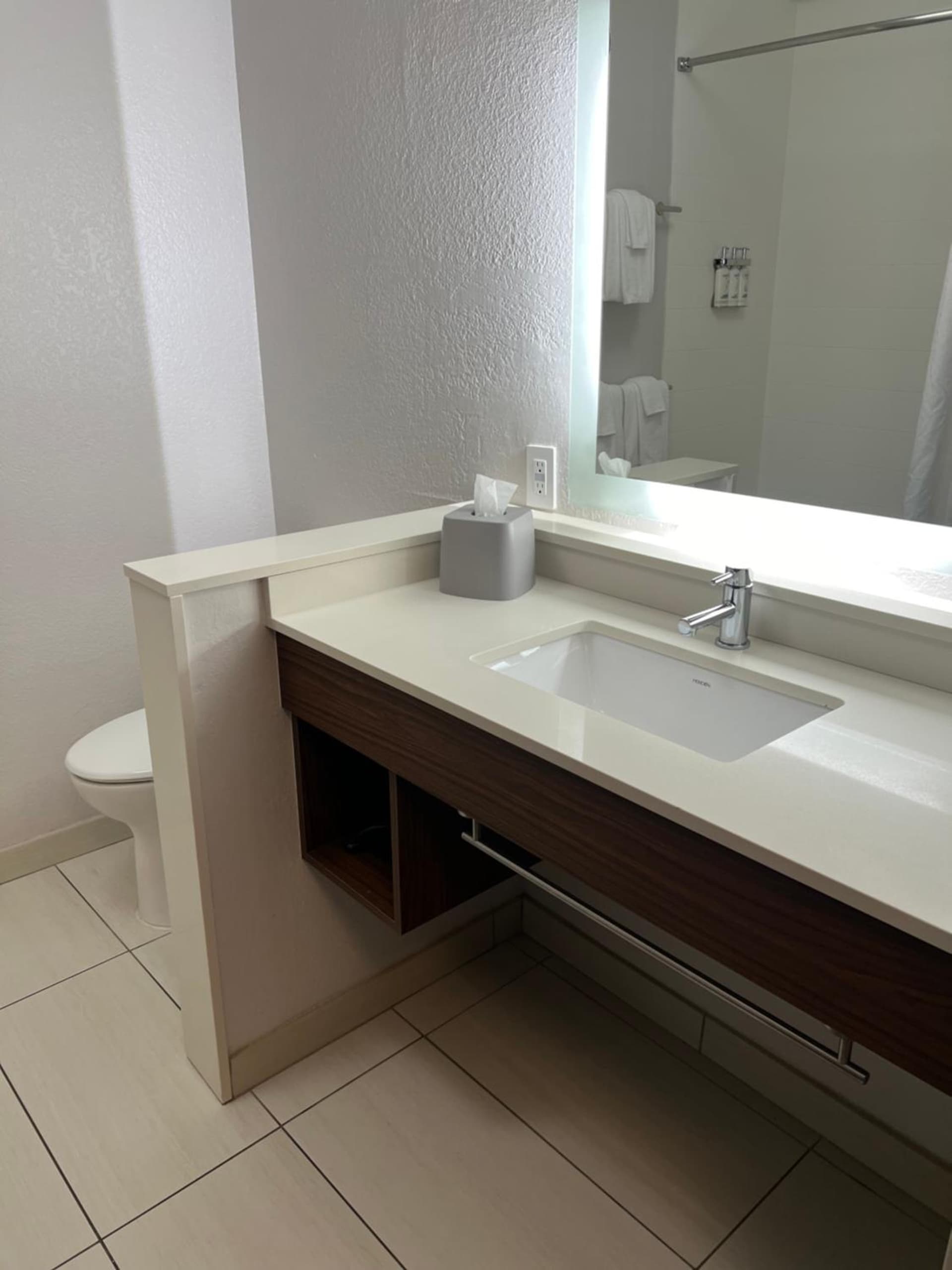 Holiday Inn Express & Suites Mobile - University Area by IHG property views in Mobile, AL — gallery photo 3
