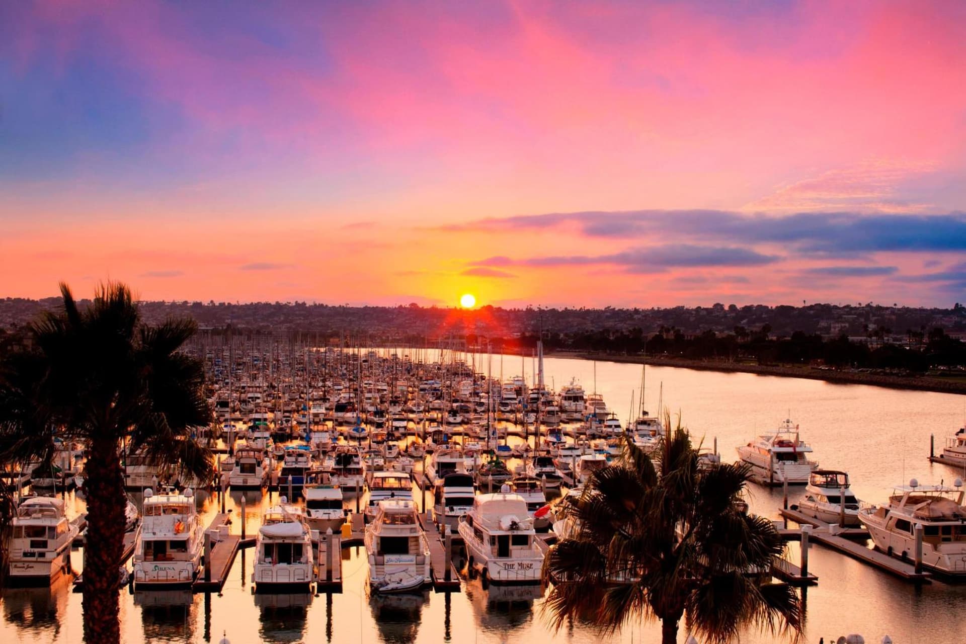 Sheraton San Diego Resort gallery photo in San Diego, CA — image 68