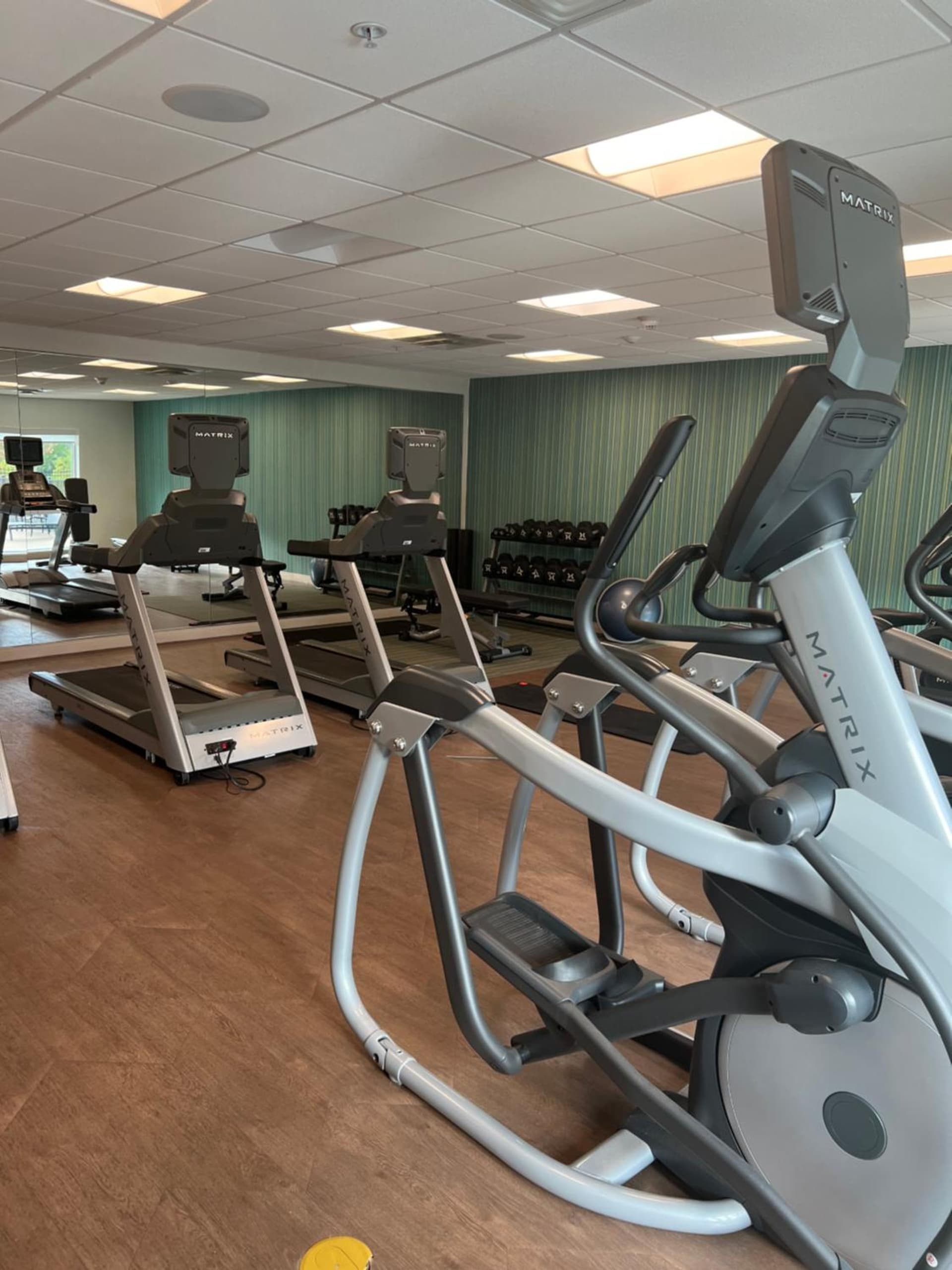 Holiday Inn Express & Suites Mobile - University Area by IHG gallery photo in Mobile, AL — image 4