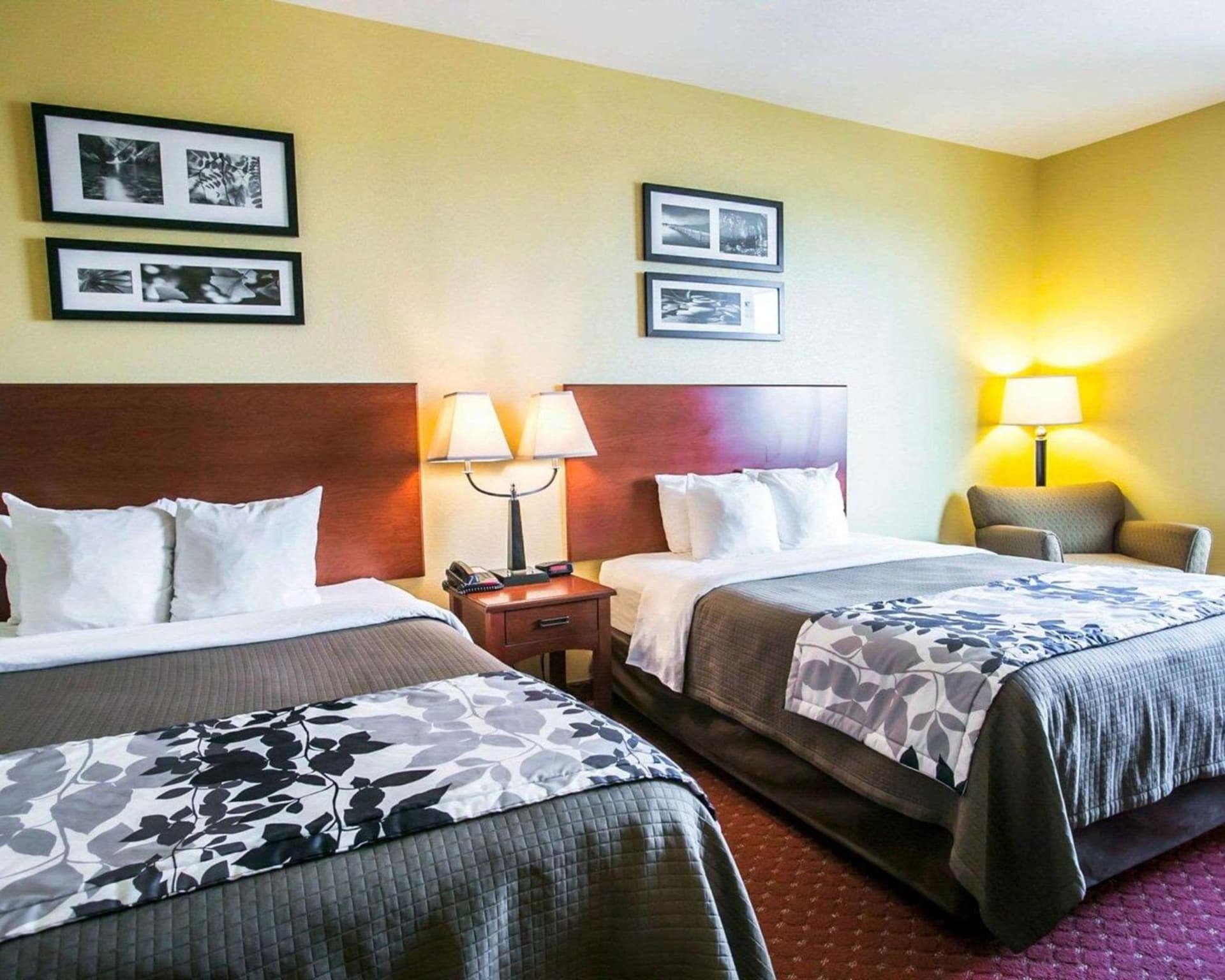 Sleep Inn & Suites New Braunfels gallery photo in New Braunfels, TX — image 20