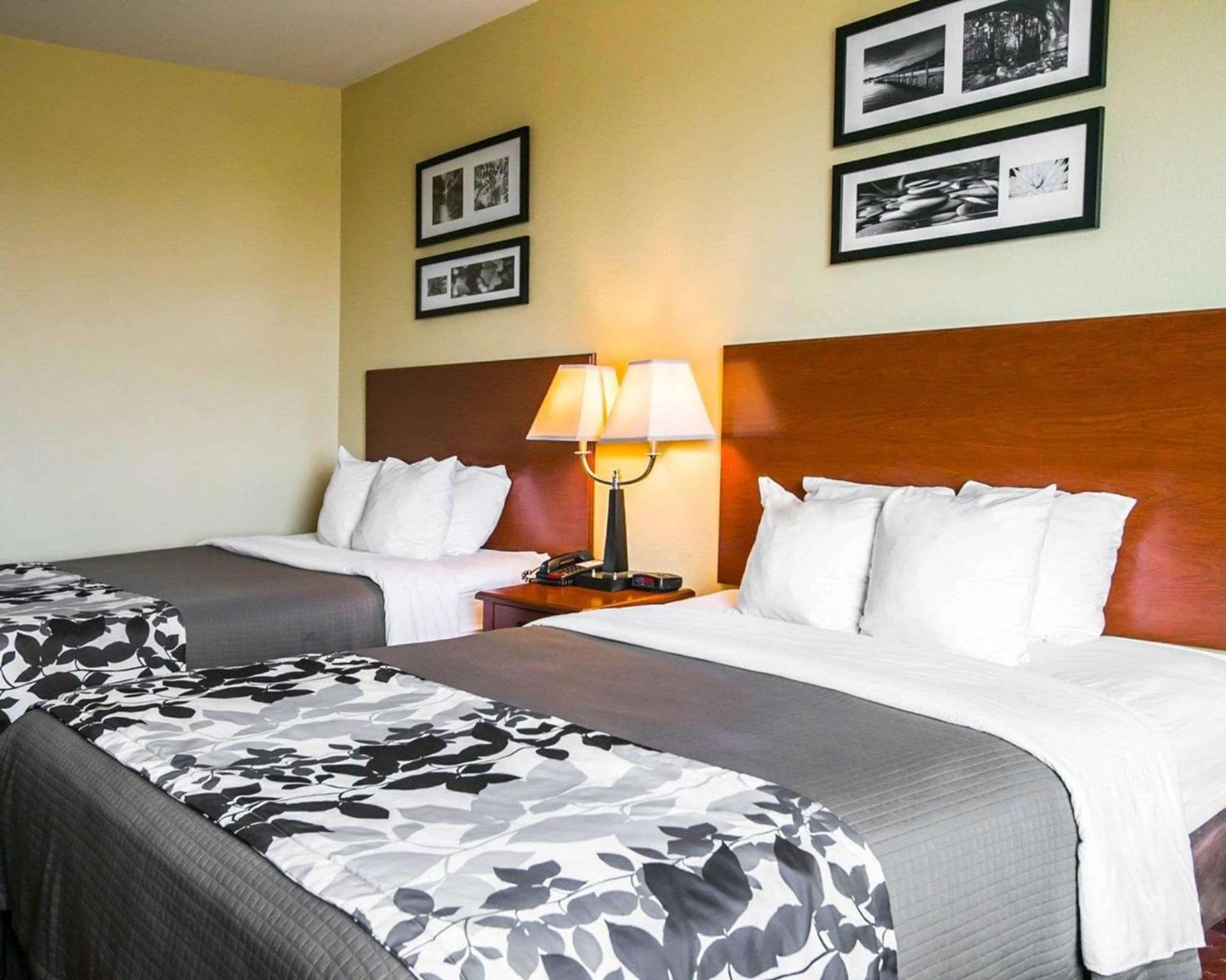 Sleep Inn & Suites New Braunfels gallery photo in New Braunfels, TX — image 25