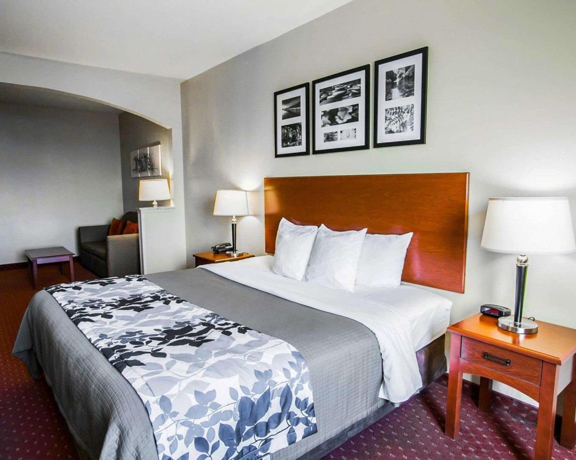 Sleep Inn & Suites New Braunfels gallery photo in New Braunfels, TX — image 29