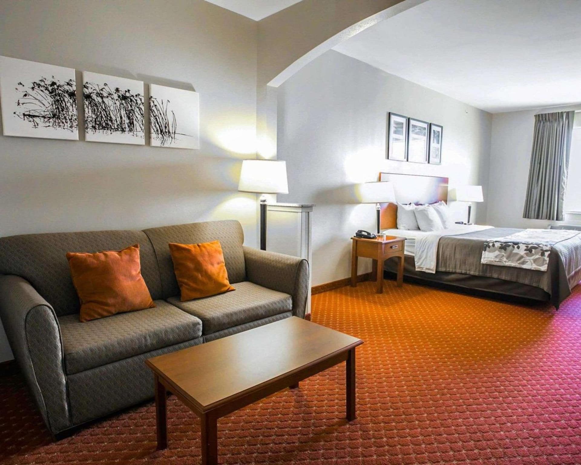 Sleep Inn & Suites New Braunfels interior in New Braunfels, TX — gallery photo 2