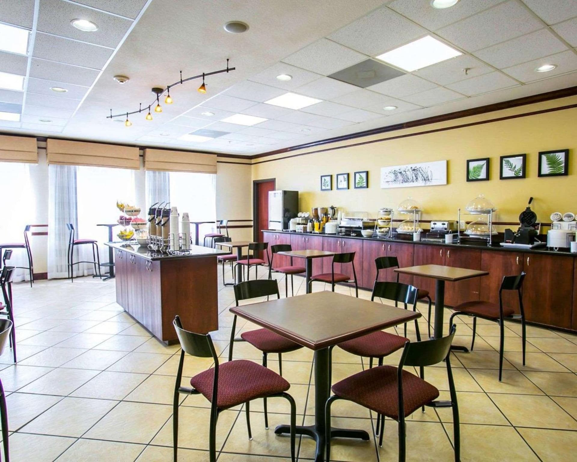 Sleep Inn & Suites New Braunfels gallery photo in New Braunfels, TX — image 24