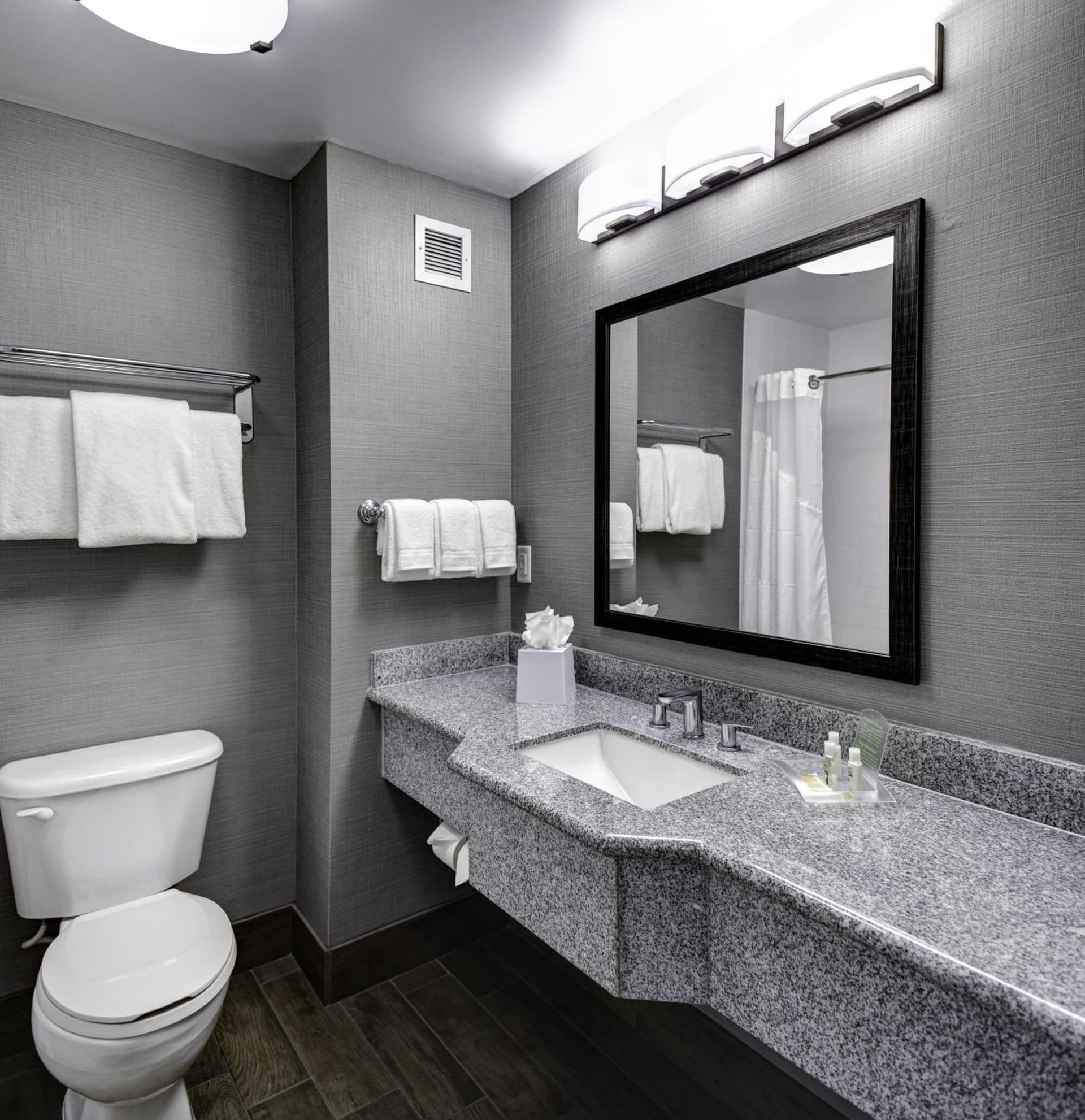 Holiday Inn Savannah Historic District by IHG property views in Savannah, GA — gallery photo 3