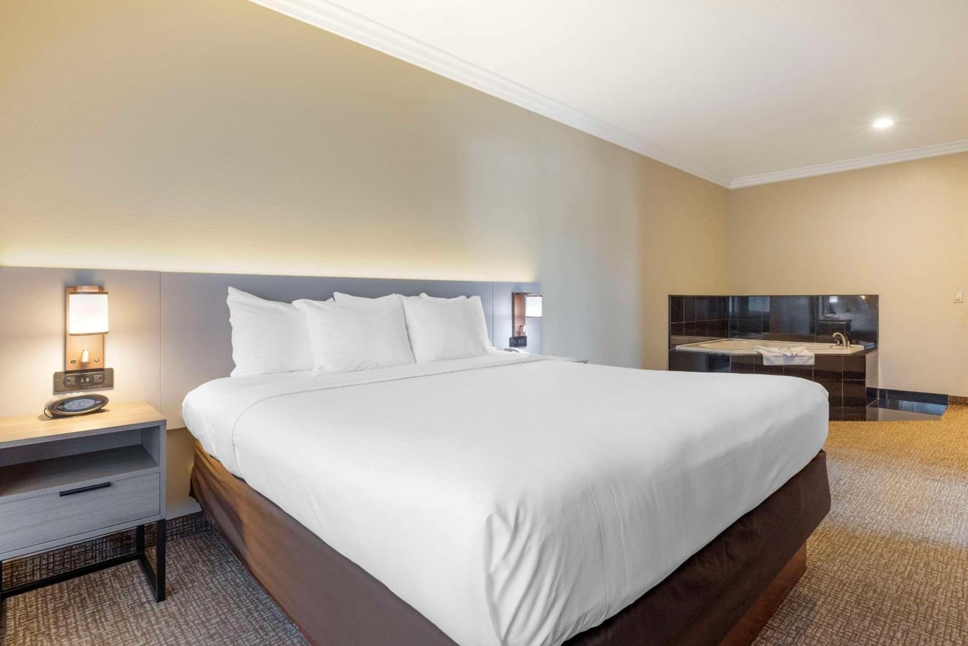 Comfort Suites Oceanside Camp Pendleton Area gallery photo in Oceanside, CA — image 41