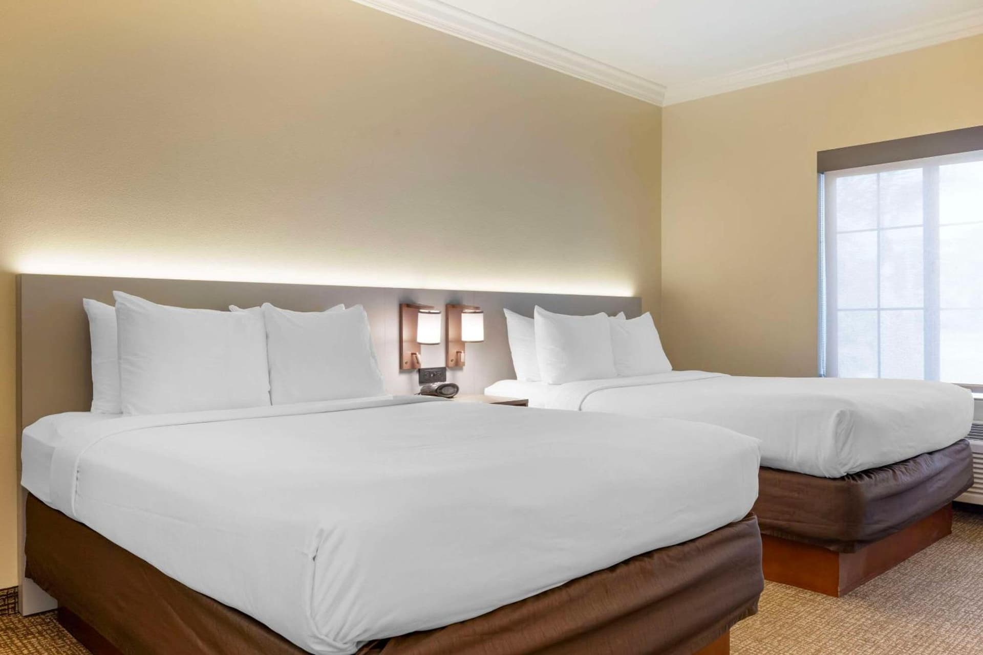 Comfort Suites Oceanside Camp Pendleton Area gallery photo in Oceanside, CA — image 44