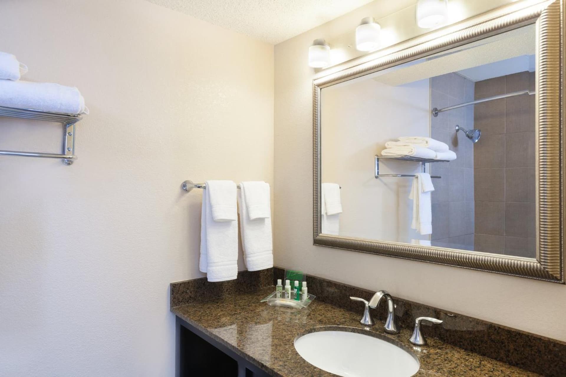 Holiday Inn Metairie New Orleans by IHG gallery photo in Metairie, LA — image 43
