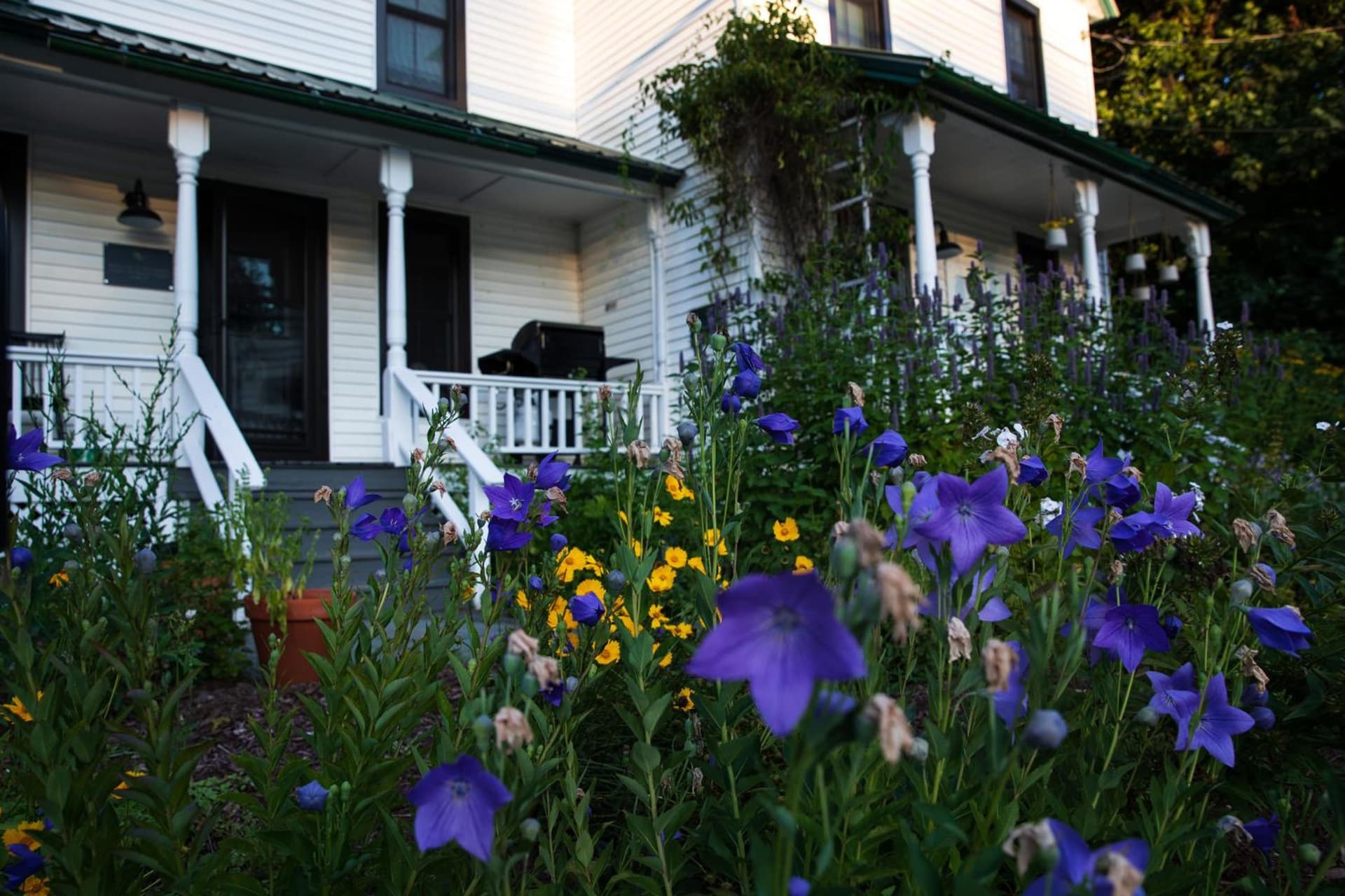 The Yarra gallery photo in Roscoe, NY — image 39
