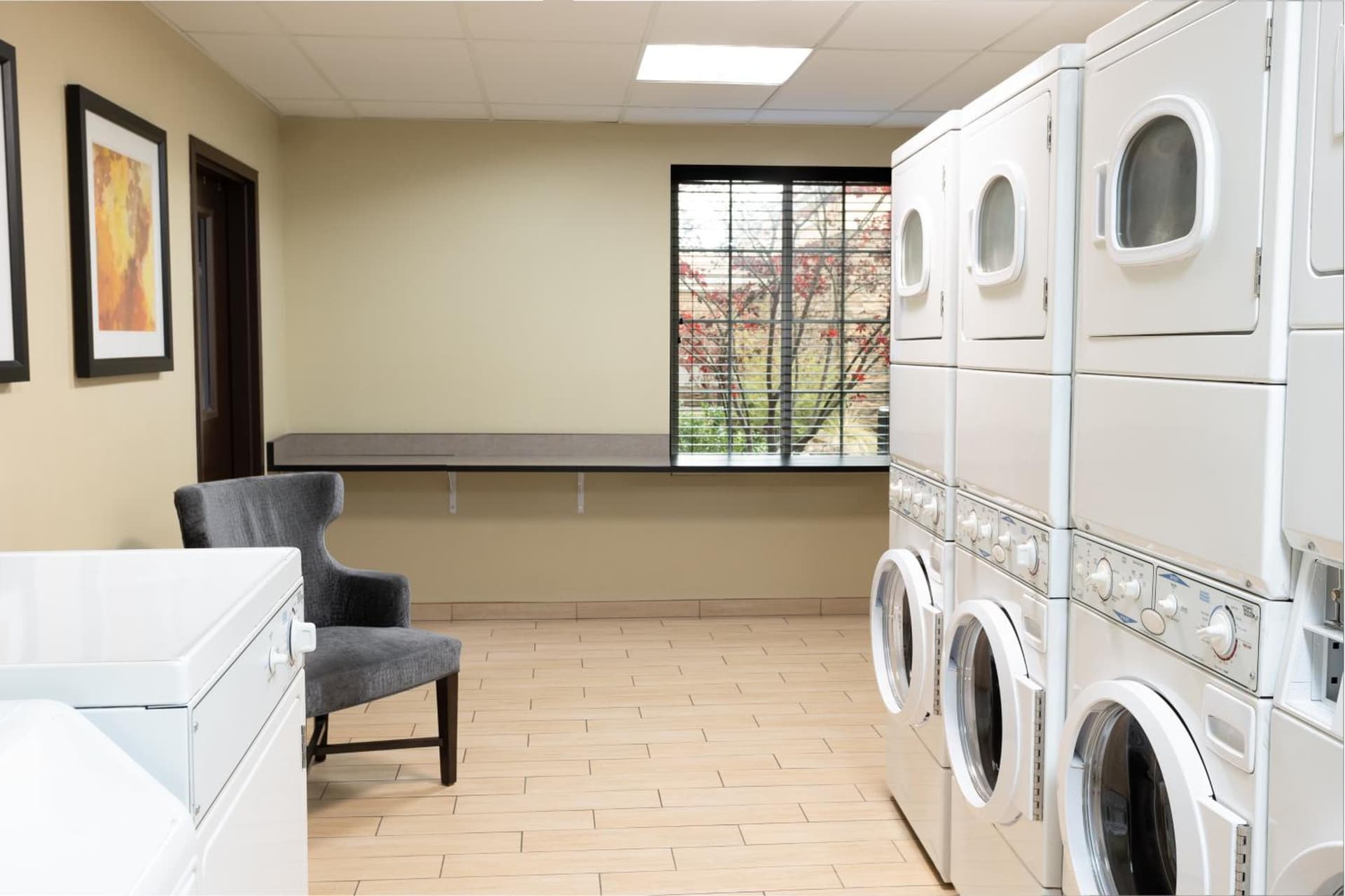 Staybridge Suites Sacramento-Folsom by IHG gallery photo in Folsom, CA — image 41