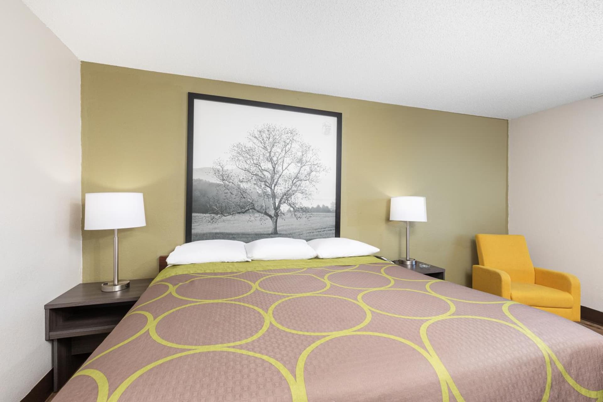 Super 8 by Wyndham Johnson City gallery photo in Johnson City, TN — image 49