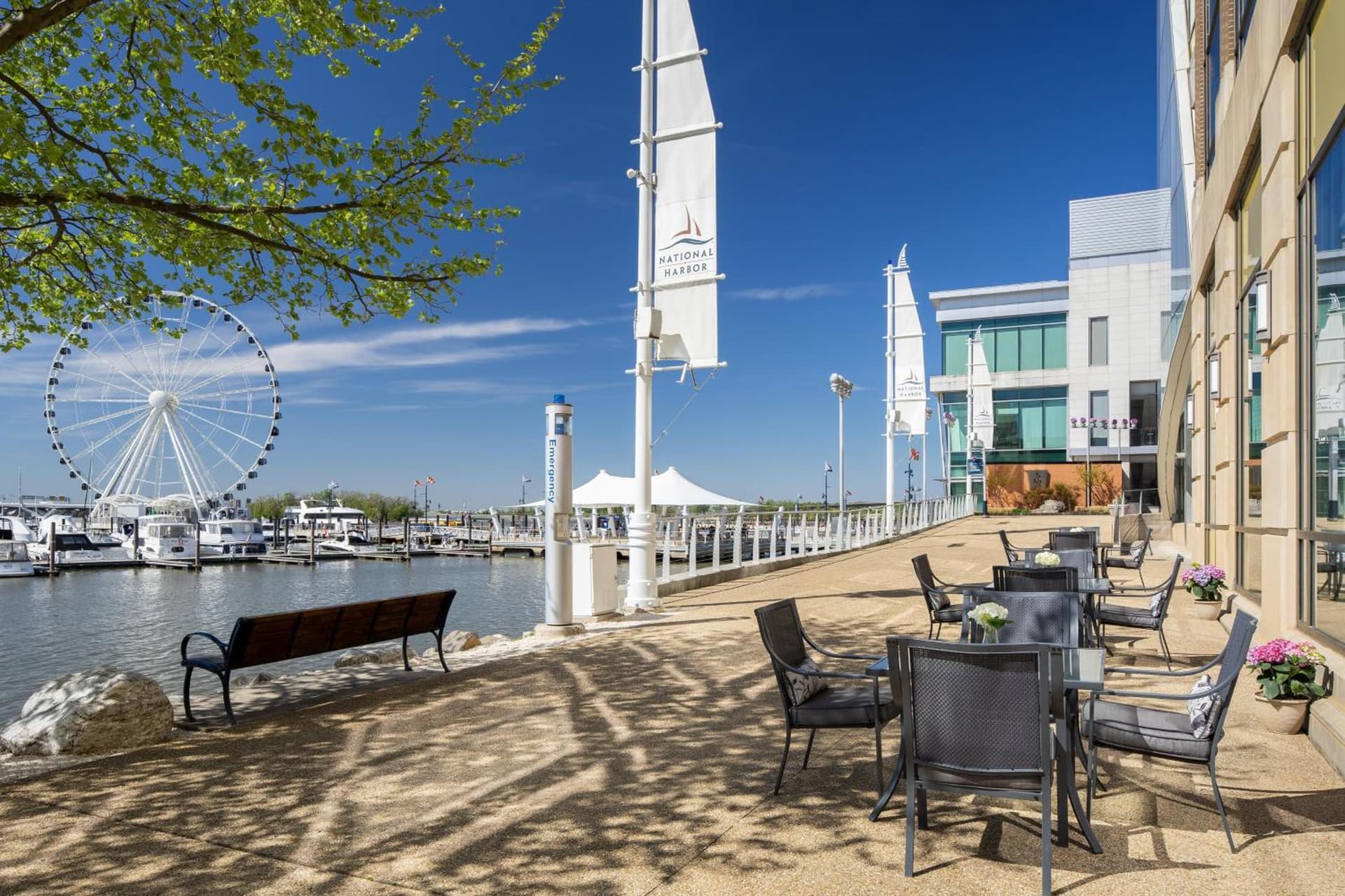 The Westin Washington National Harbor gallery photo in National Harbor, MD — image 5