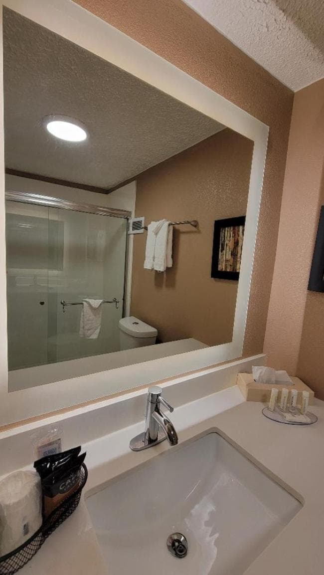 Clarion Hotel & Conference Center Lansing West gallery photo in Lansing, MI — image 18