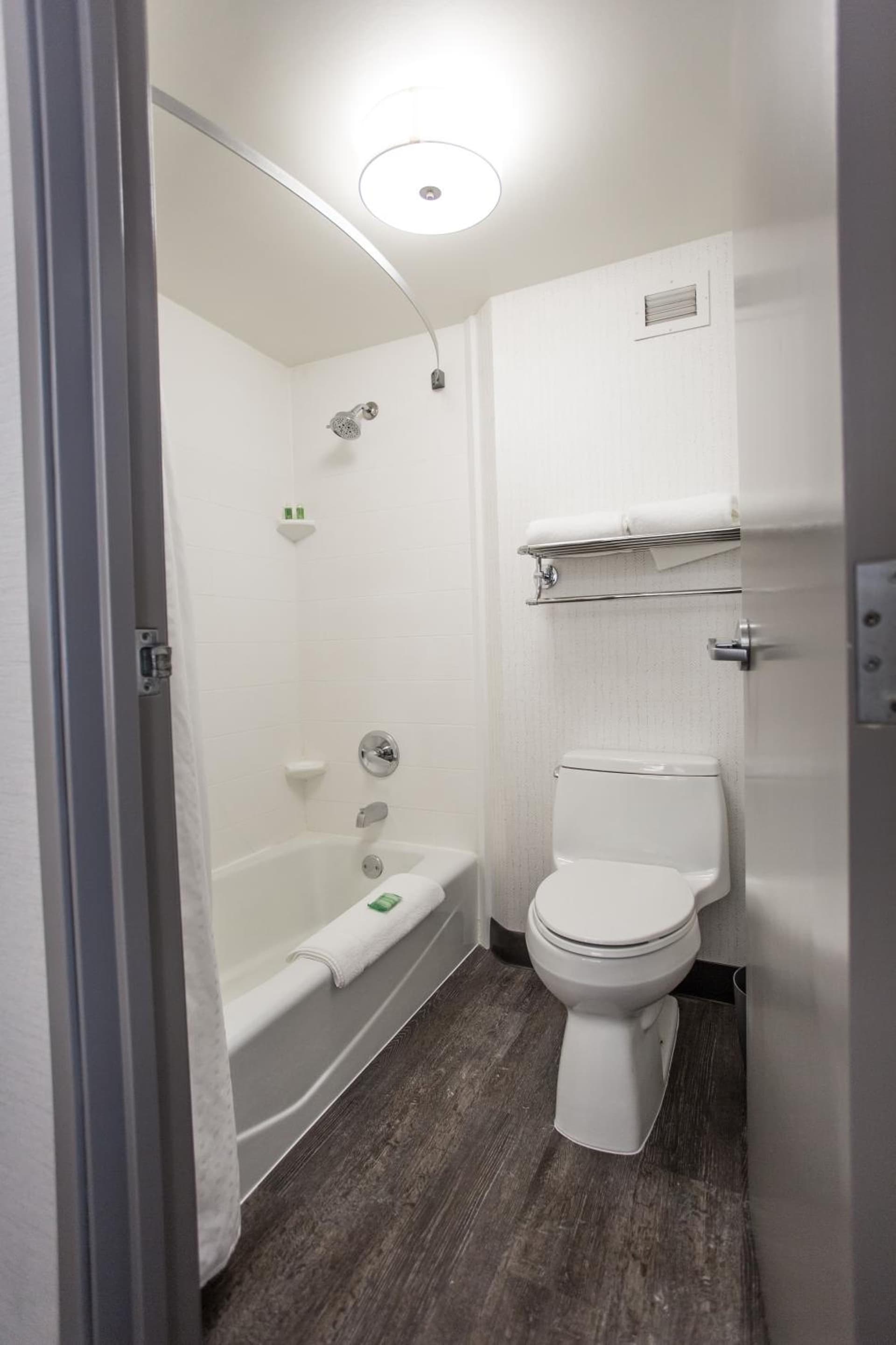 Holiday Inn Grand Rapids Downtown by IHG property views in Grand Rapids, MI — gallery photo 3