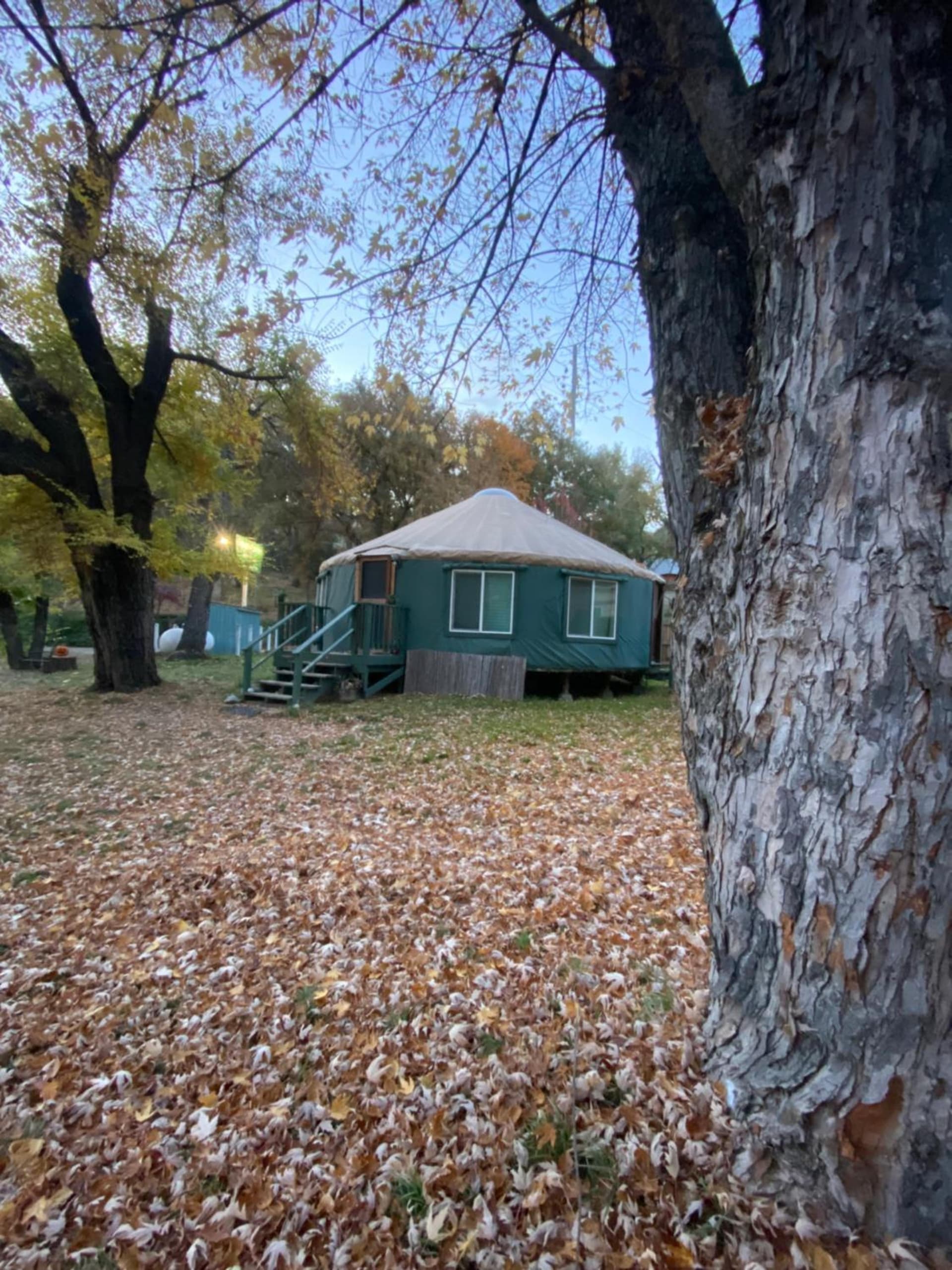 Seven Circles Lodge&Retreat gallery photo in Badger — image 8
