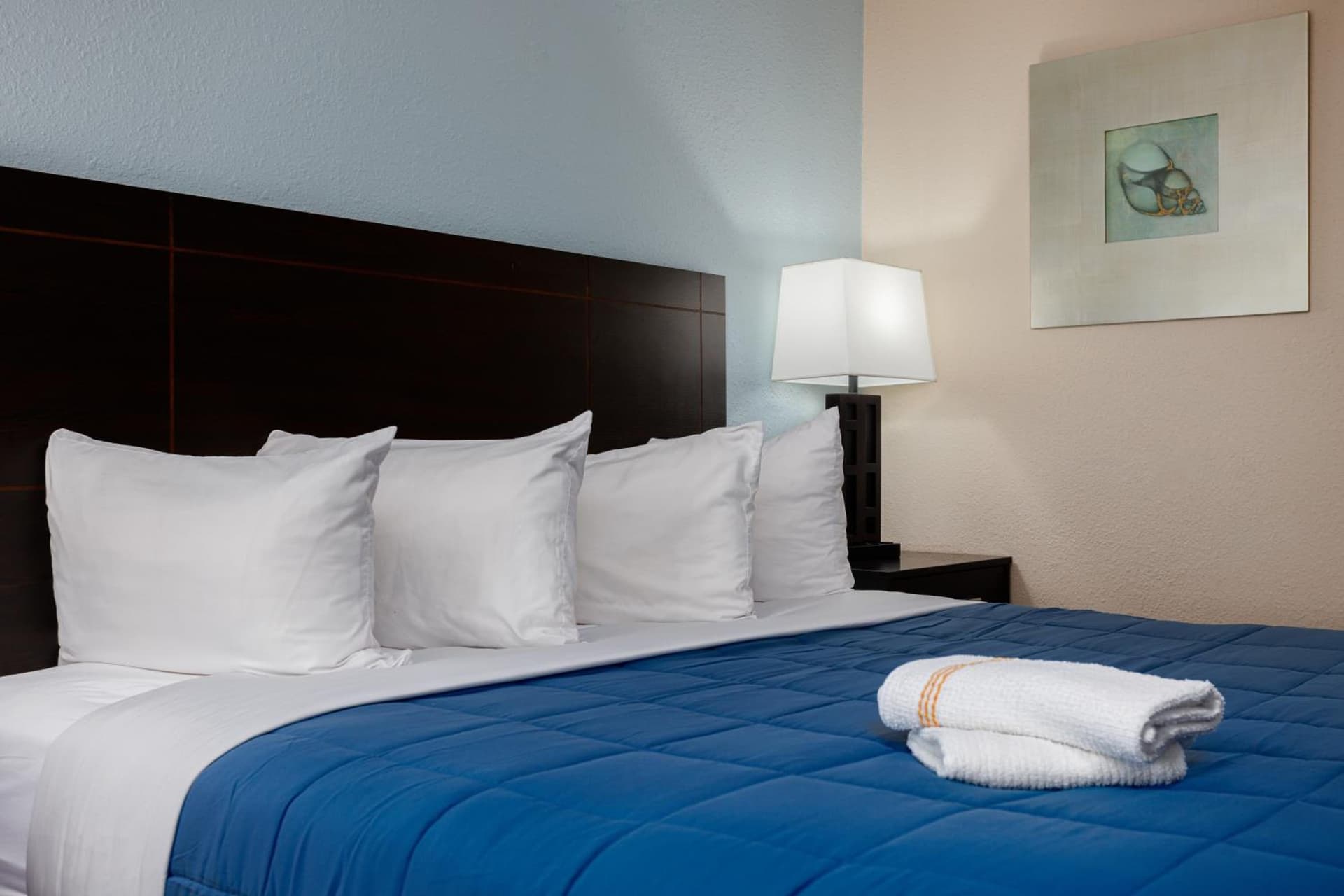 Quality Inn St Augustine Historic District Area gallery photo in St. Augustine, FL — image 22