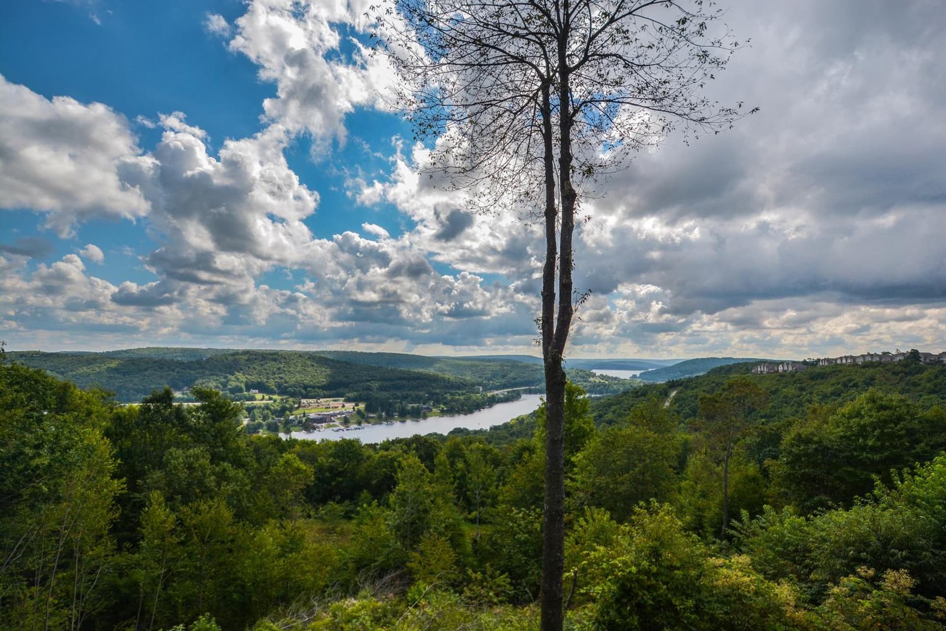 Braeside property views in McHenry — gallery photo 3