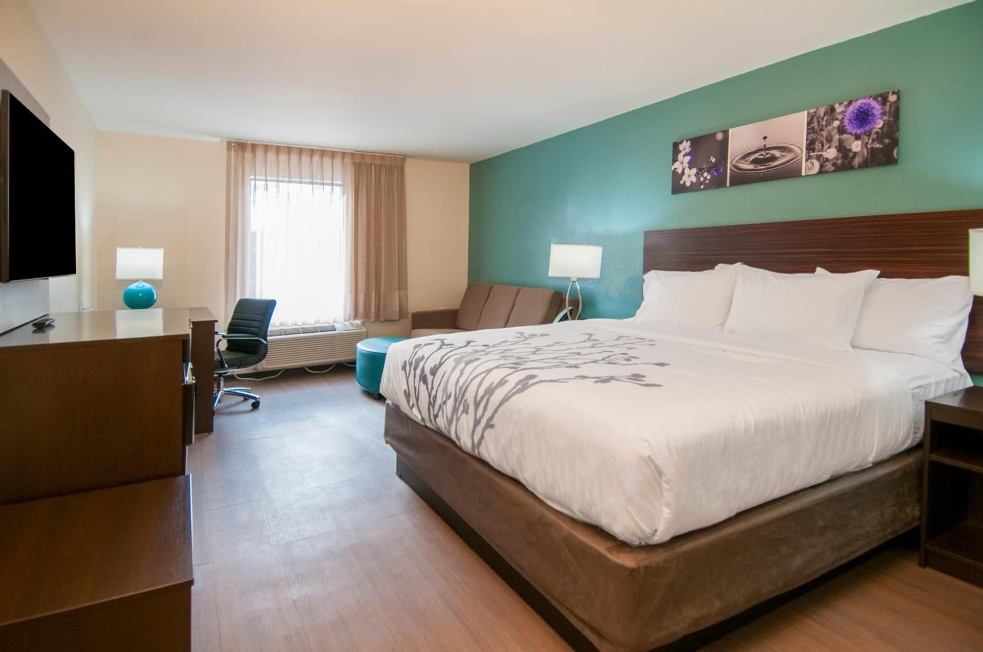 Sleep Inn & Suites Tuscaloosa East gallery photo in Tuscaloosa, AL — image 8