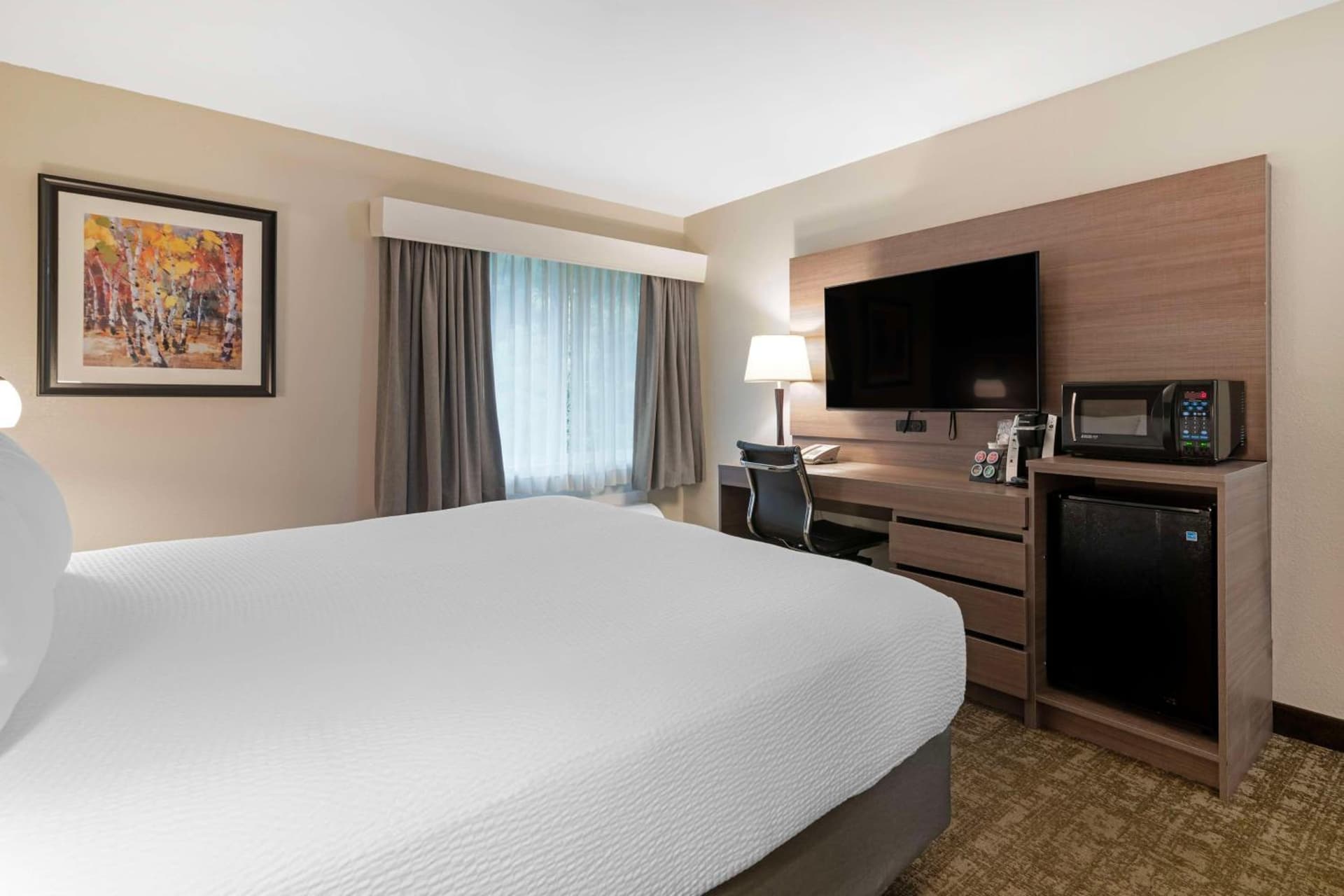 Best Western Plus Windjammer Inn & Conference Center gallery photo in Burlington, VT — image 31