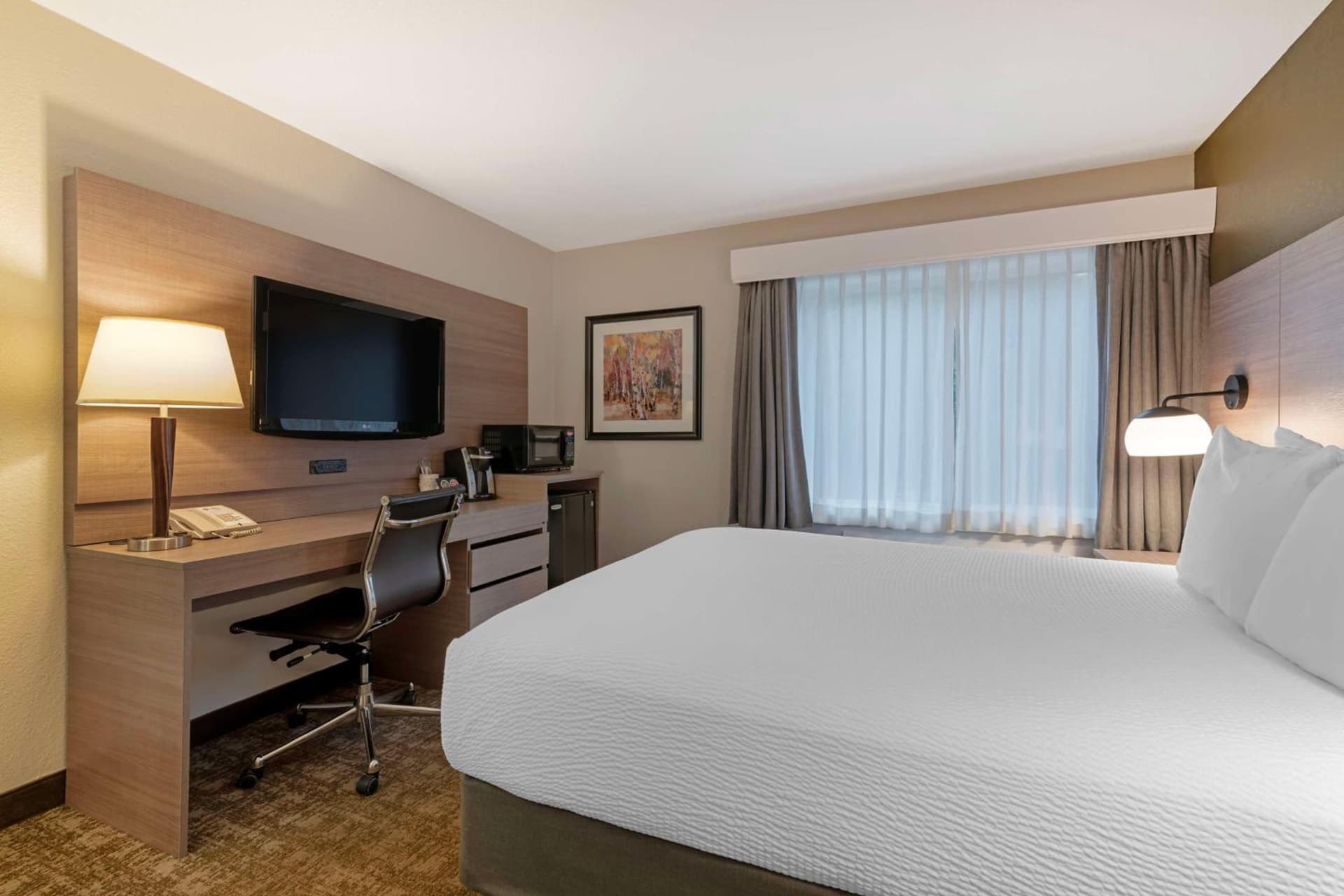 Best Western Plus Windjammer Inn & Conference Center gallery photo in Burlington, VT — image 32