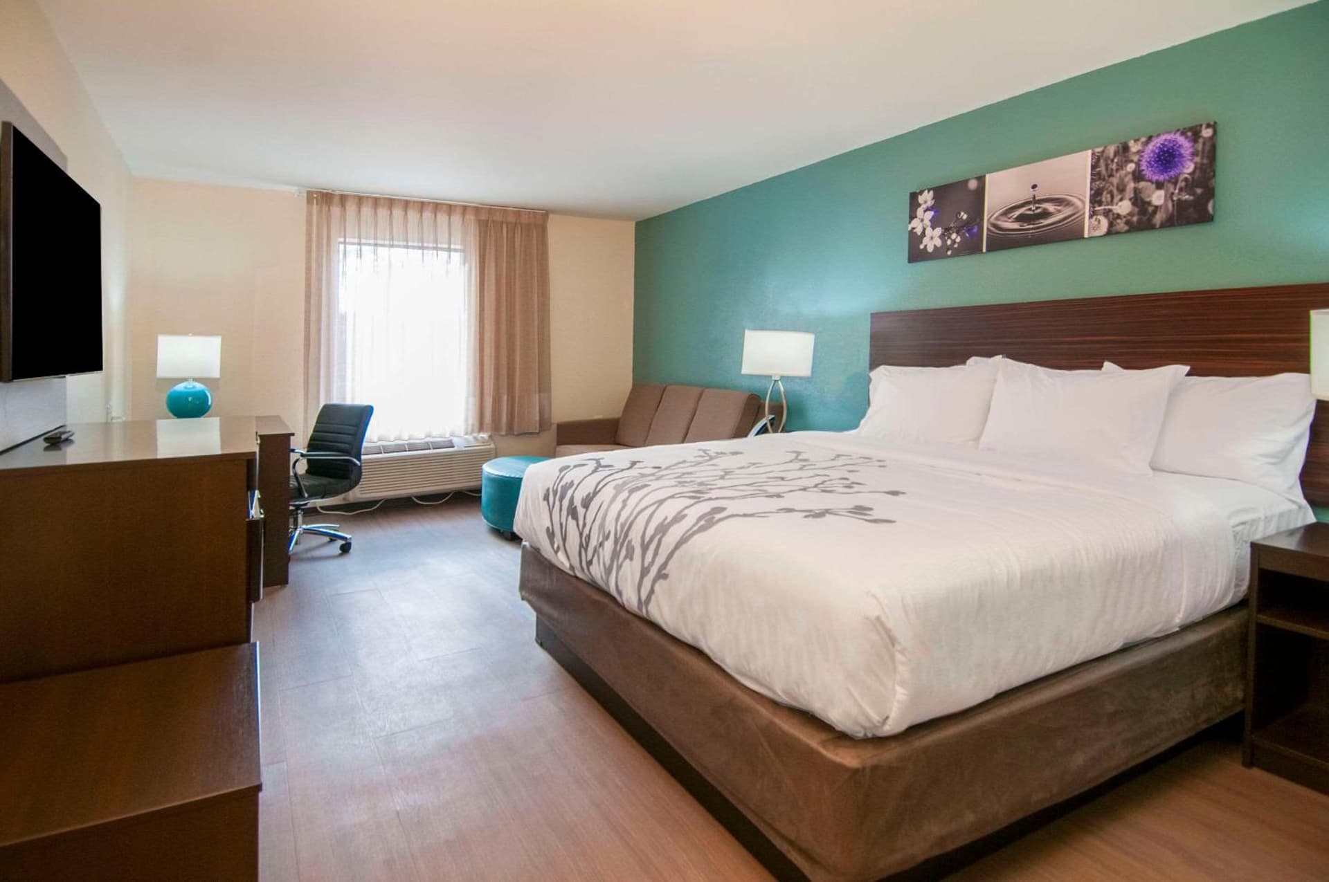 Sleep Inn & Suites Tuscaloosa East gallery photo in Tuscaloosa, AL — image 32