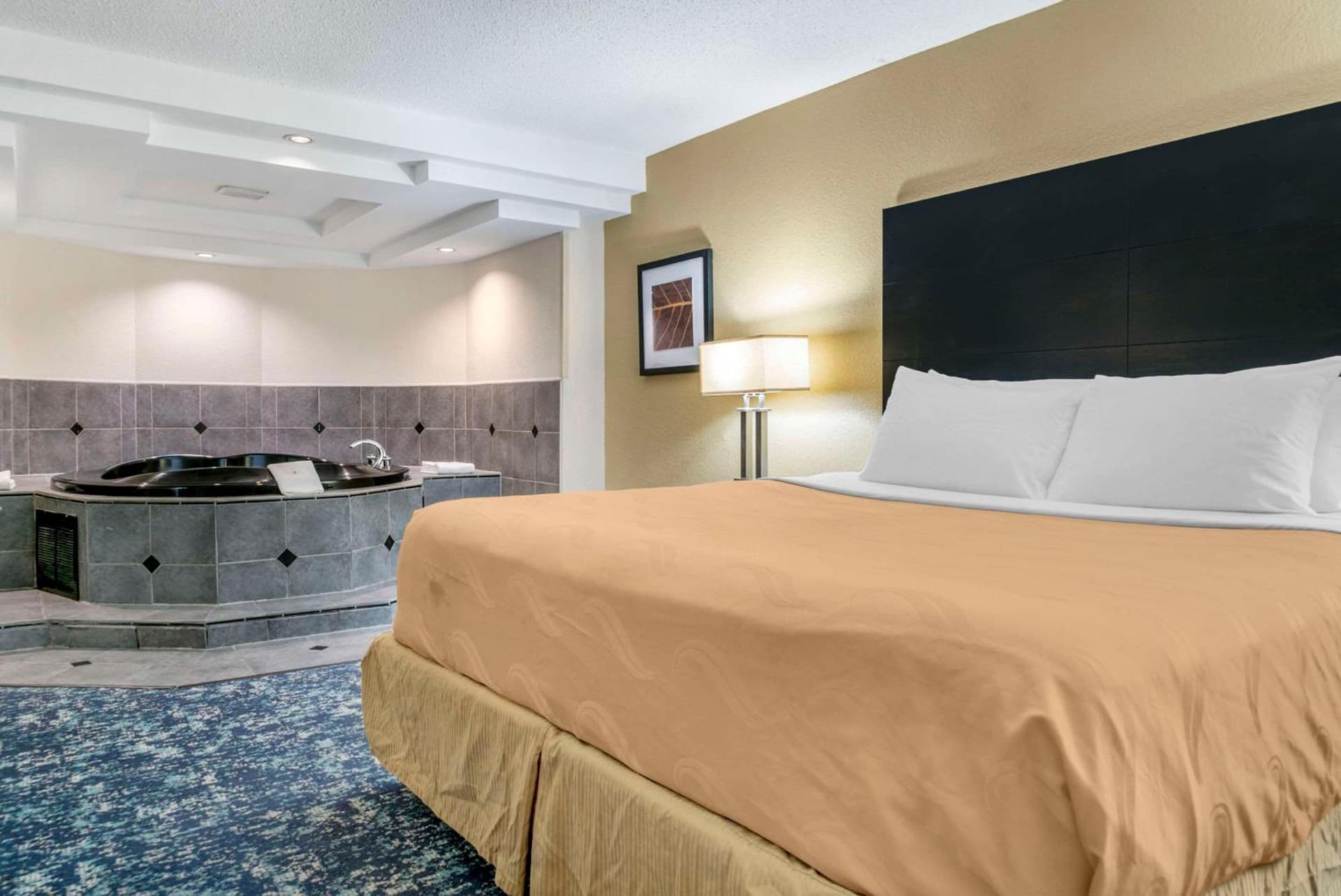 Quality Inn and Suites Livonia gallery photo in Livonia, MI — image 16