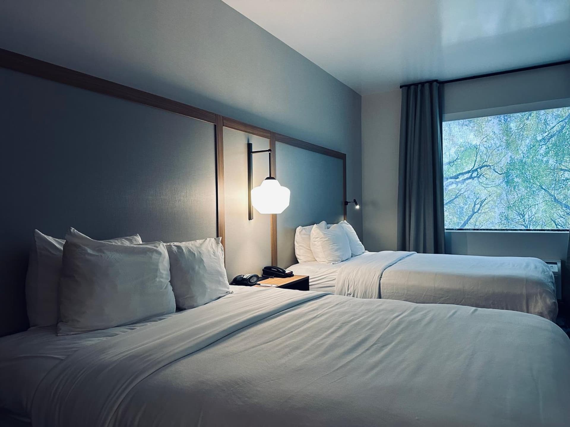 Fairfield Inn & Suites by Marriott Scottsdale Old Town gallery photo in Scottsdale, AZ — image 7