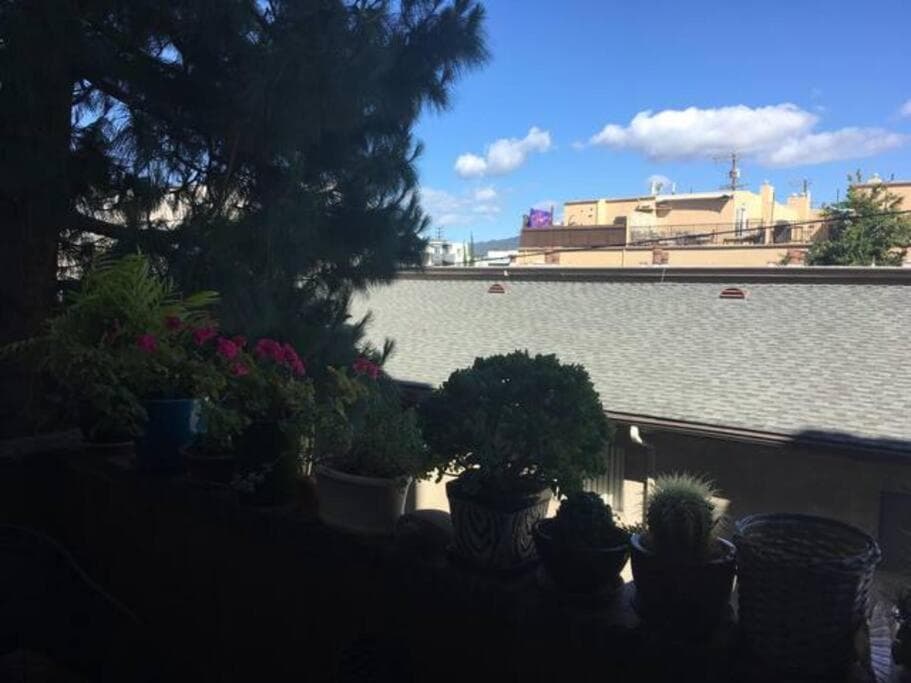 Spacious 2 bedrooms. Prime Location (entire place) — hotel in Los Angeles, California