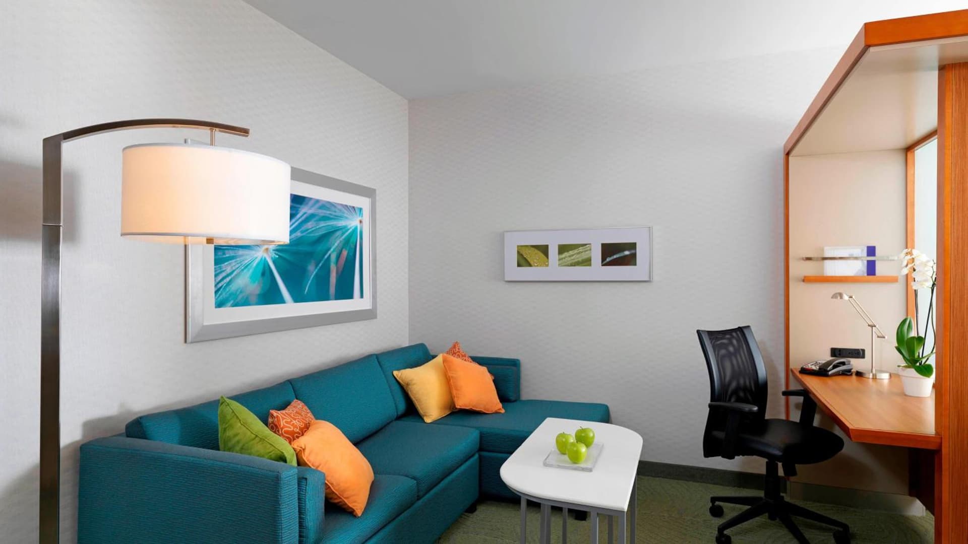 SpringHill Suites by Marriott Scranton Montage Mountain gallery photo in Moosic, PA — image 17