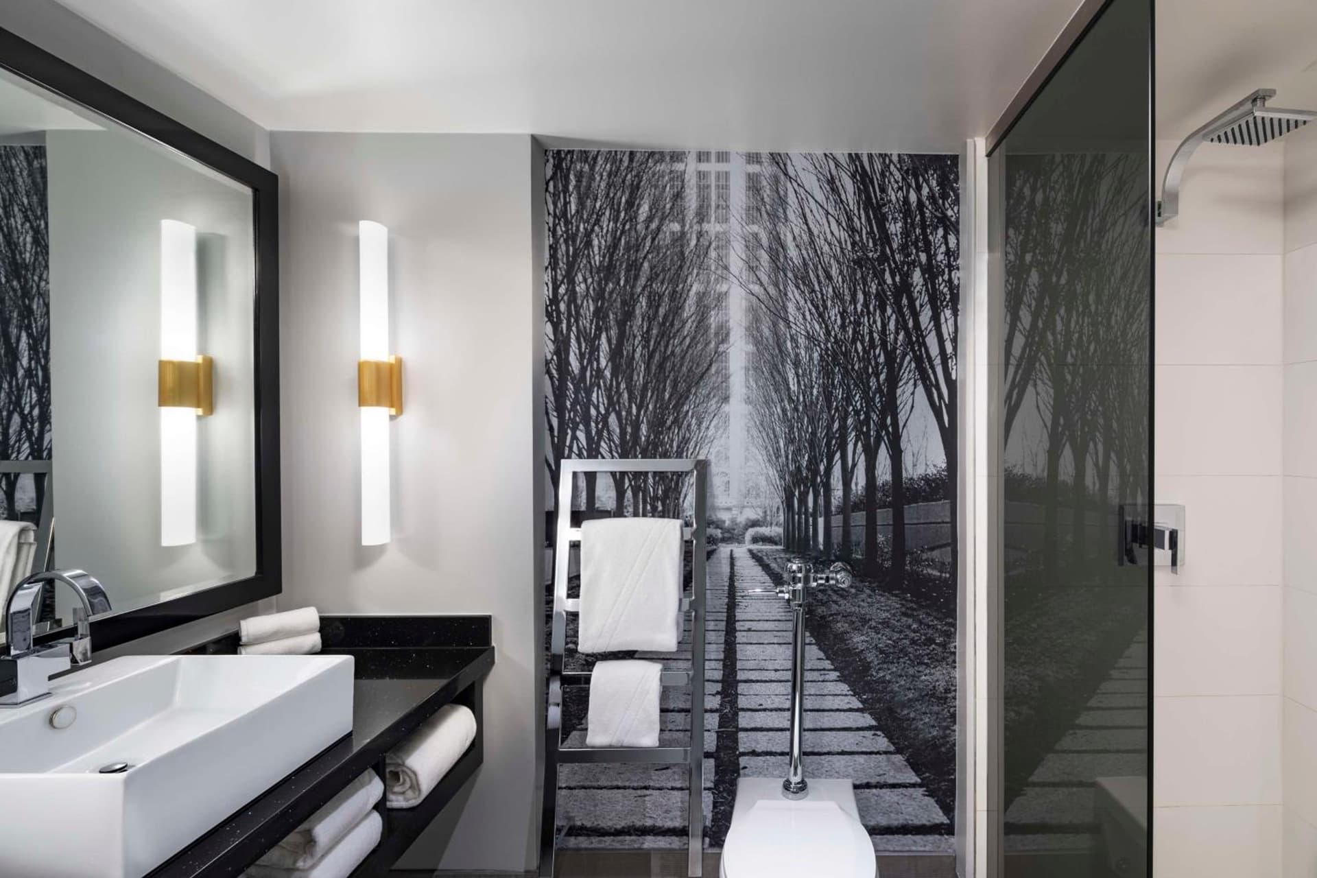 The Starling Atlanta Midtown, Curio Collection by Hilton gallery photo in Atlanta, GA — image 100