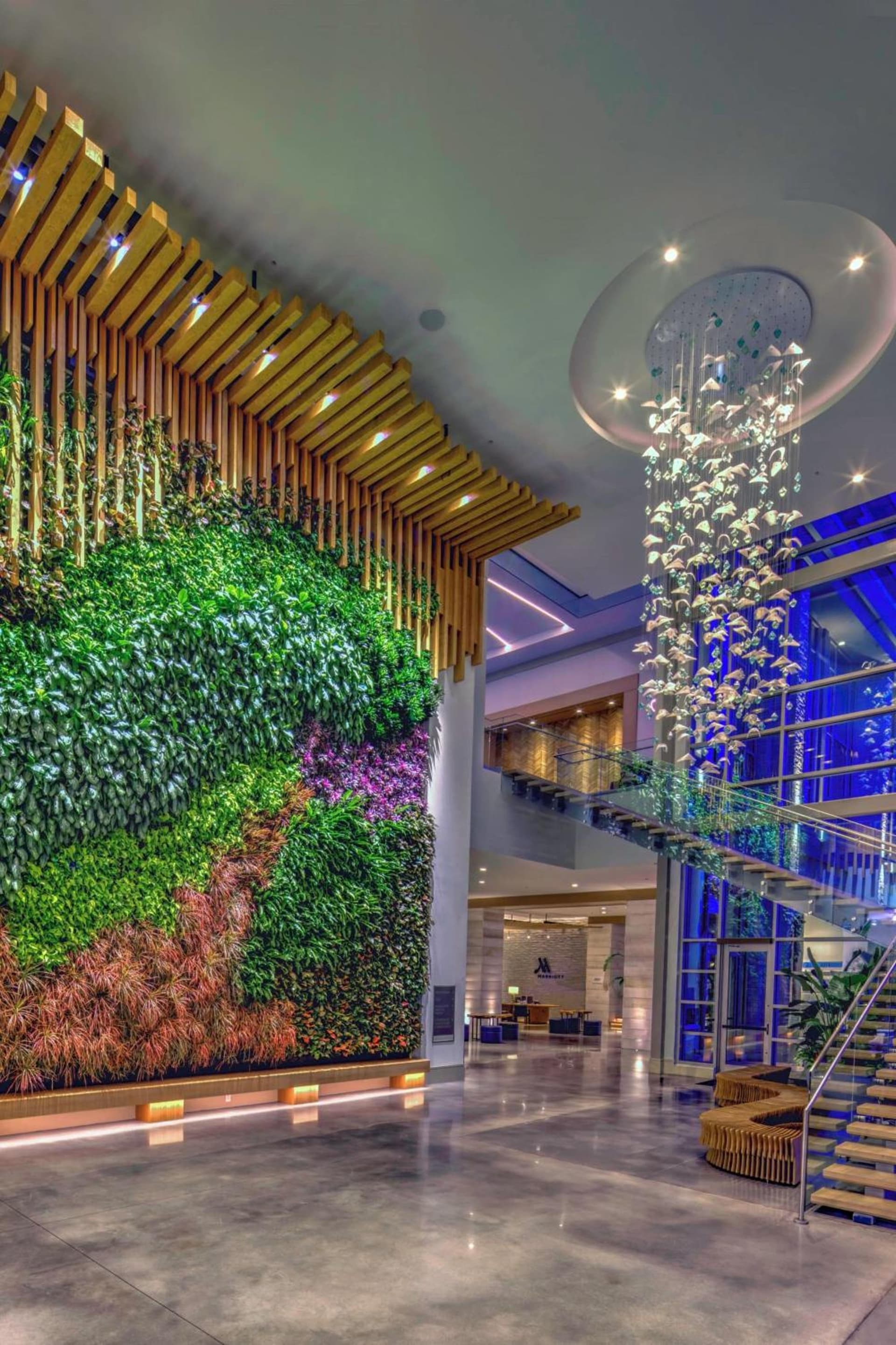 Marriott Virginia Beach Oceanfront Resort gallery photo in Virginia Beach, VA — image 95
