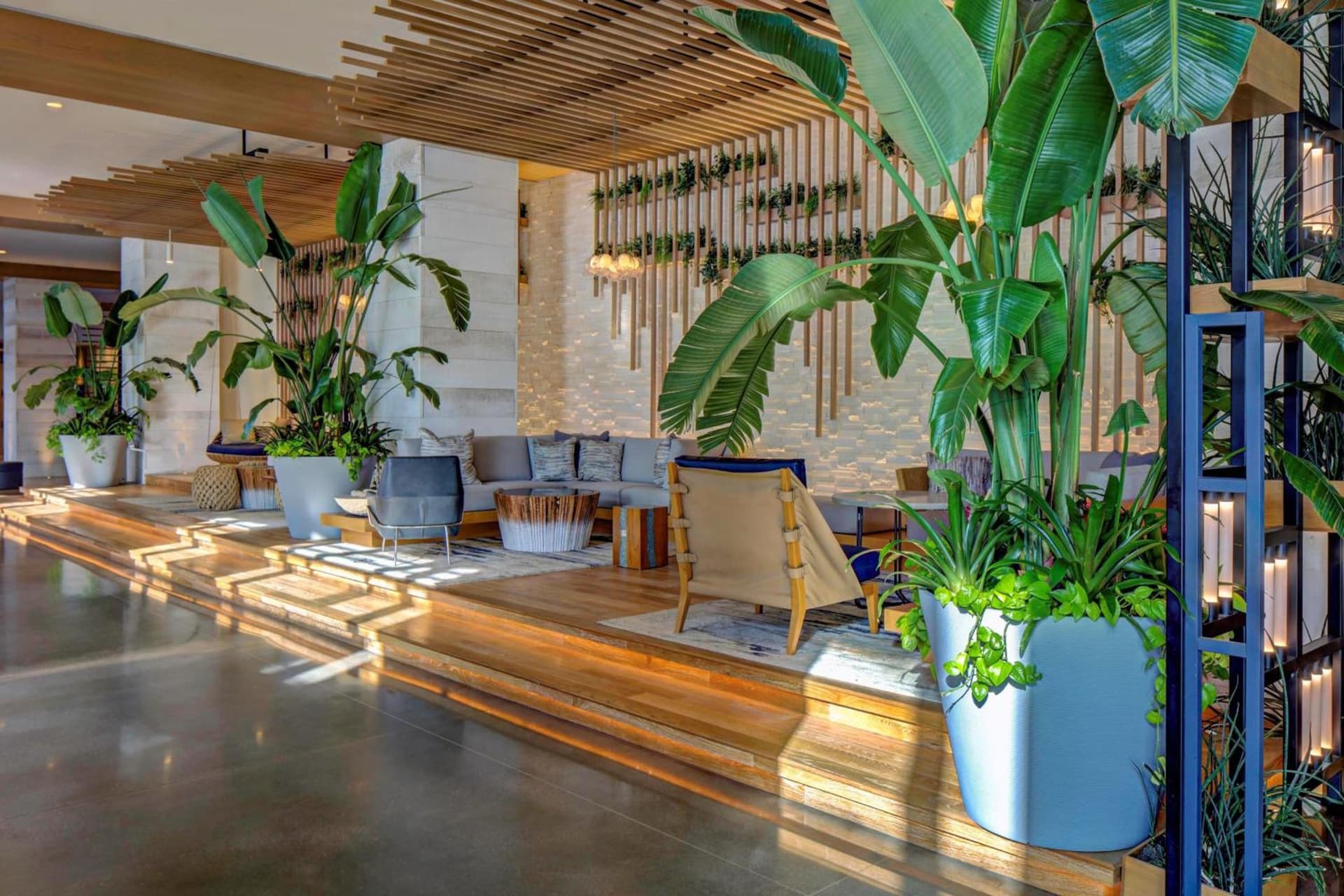 Marriott Virginia Beach Oceanfront Resort gallery photo in Virginia Beach, VA — image 33
